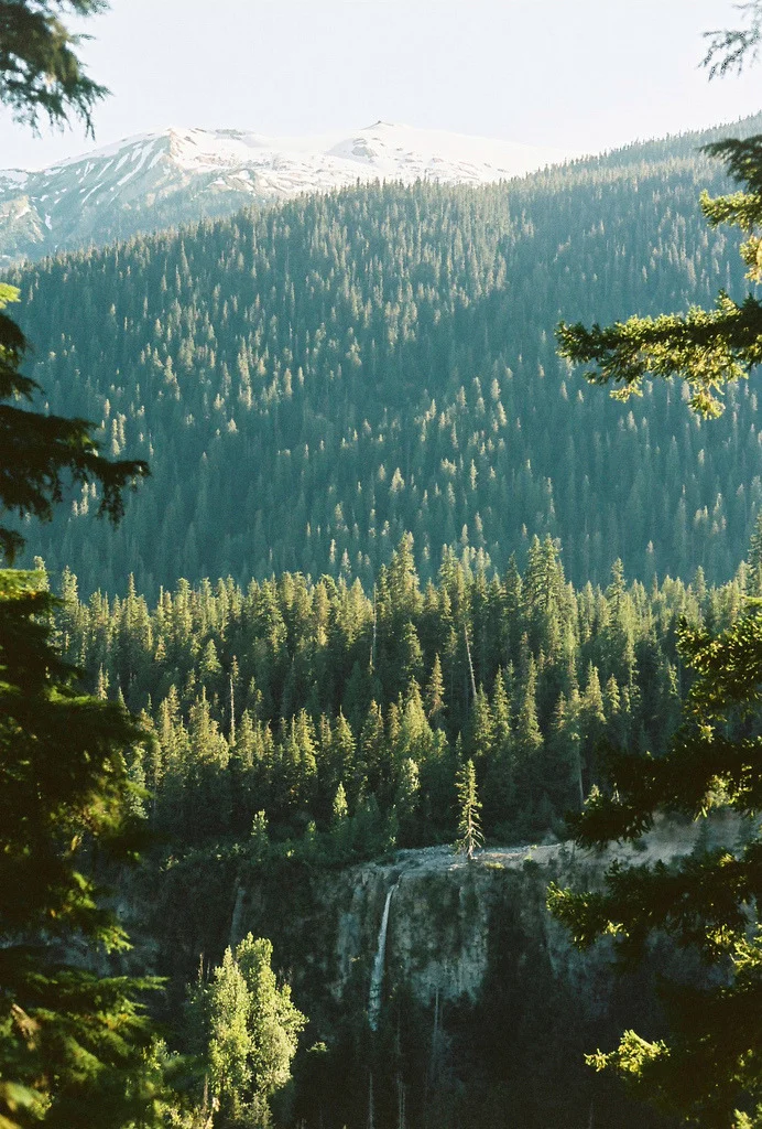 tumblr_mh24opmJID1s1ujkmo1_1280.jpg