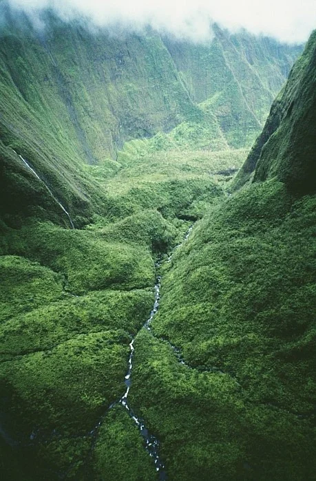 tumblr_mkkwjxVuiT1qd8tqqo1_500.jpg