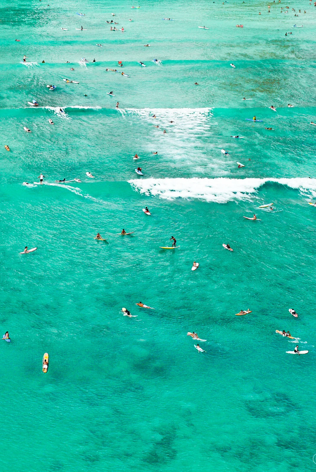 kevvn-deactivated20141201:


Waikiki Surf Scene