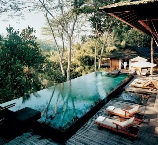 olgaolsson:

Forest Pool
View Post
shared via WordPress.com