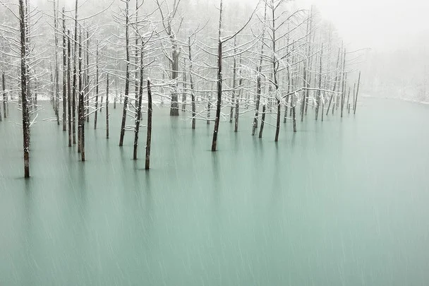 therawhouse:

seabois:

frozen pond | japan ~ kent shiraishi photograph

(via
TumbleOn)