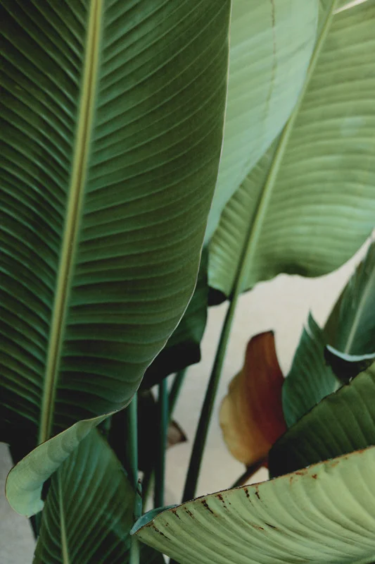 threedot:

jaredtomas: Photo by Louis MacLean