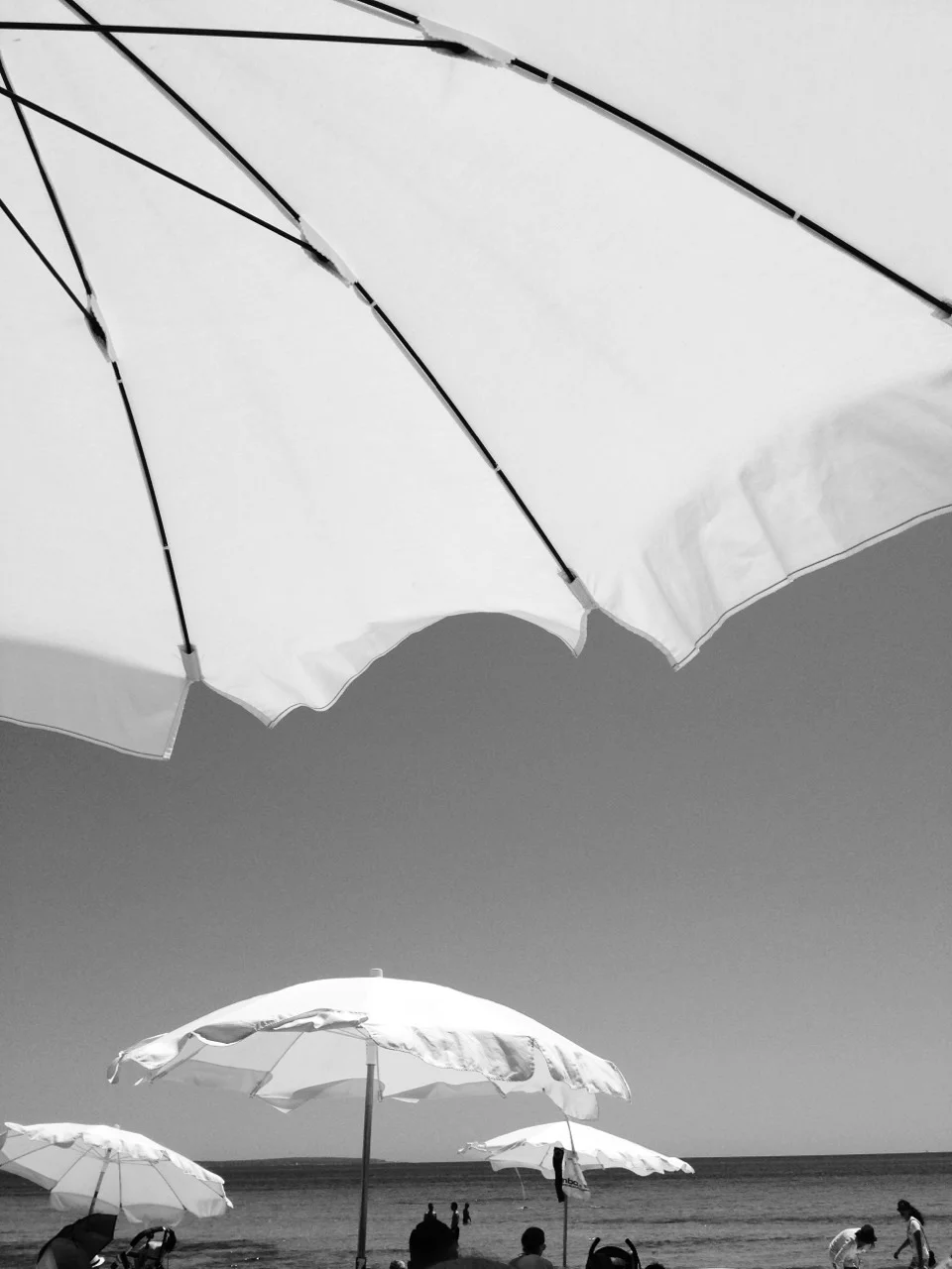 unpoemadamor:

ses salines