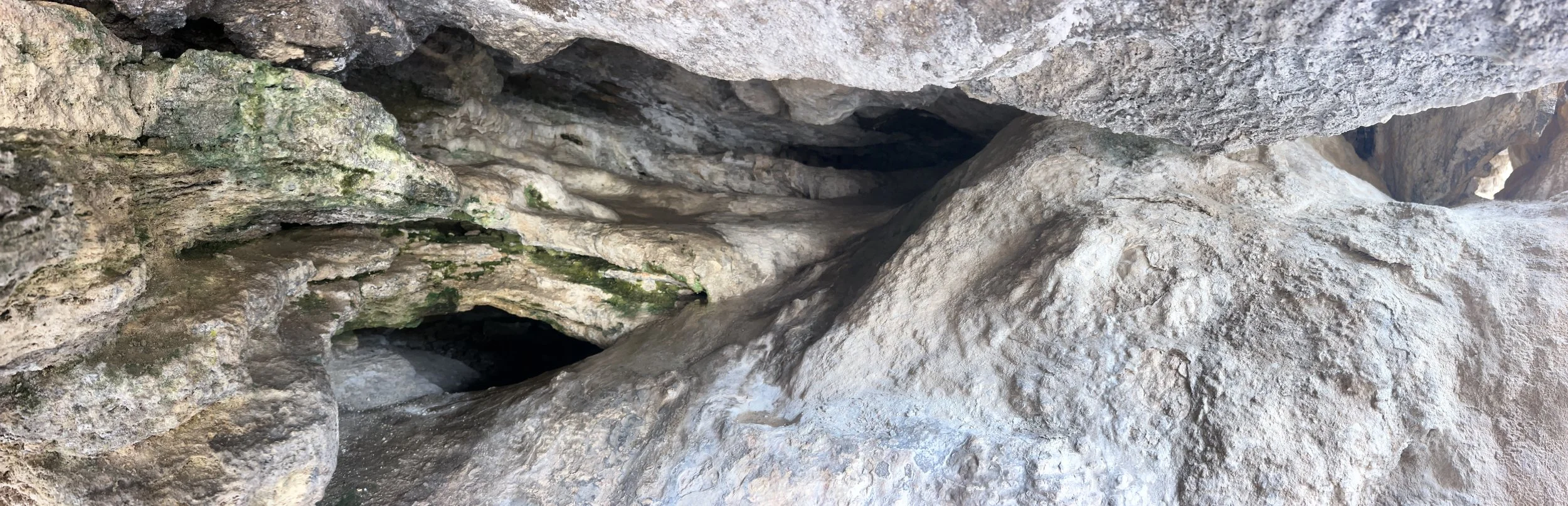 Inside a natural rock formation with rough, textured surfaces, some areas covered with moss or algae, and a dark opening or crevice.