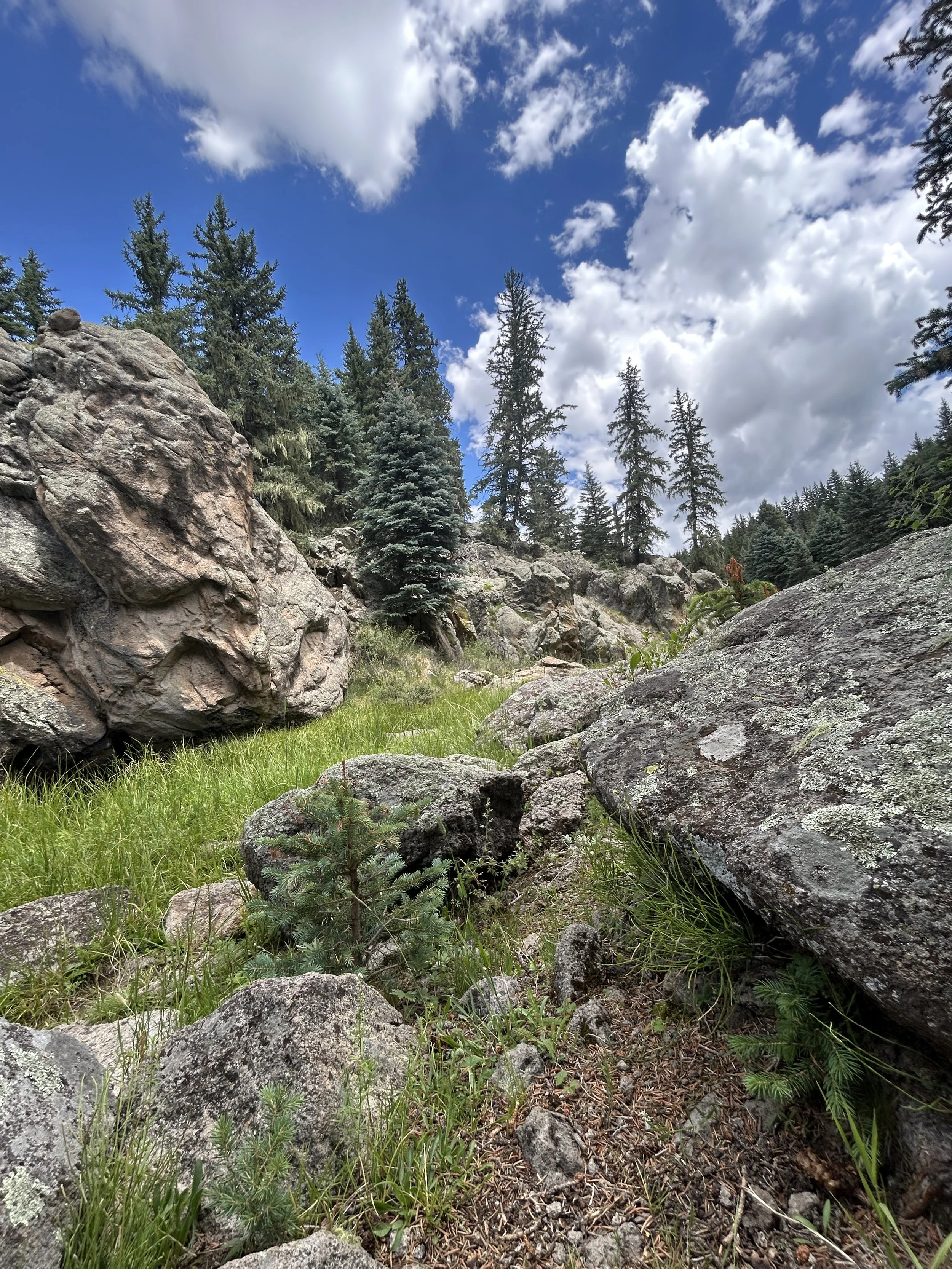 A scenic mountain landscape with large rocks, green grass, and tall pine trees under a partly cloudy blue sky.