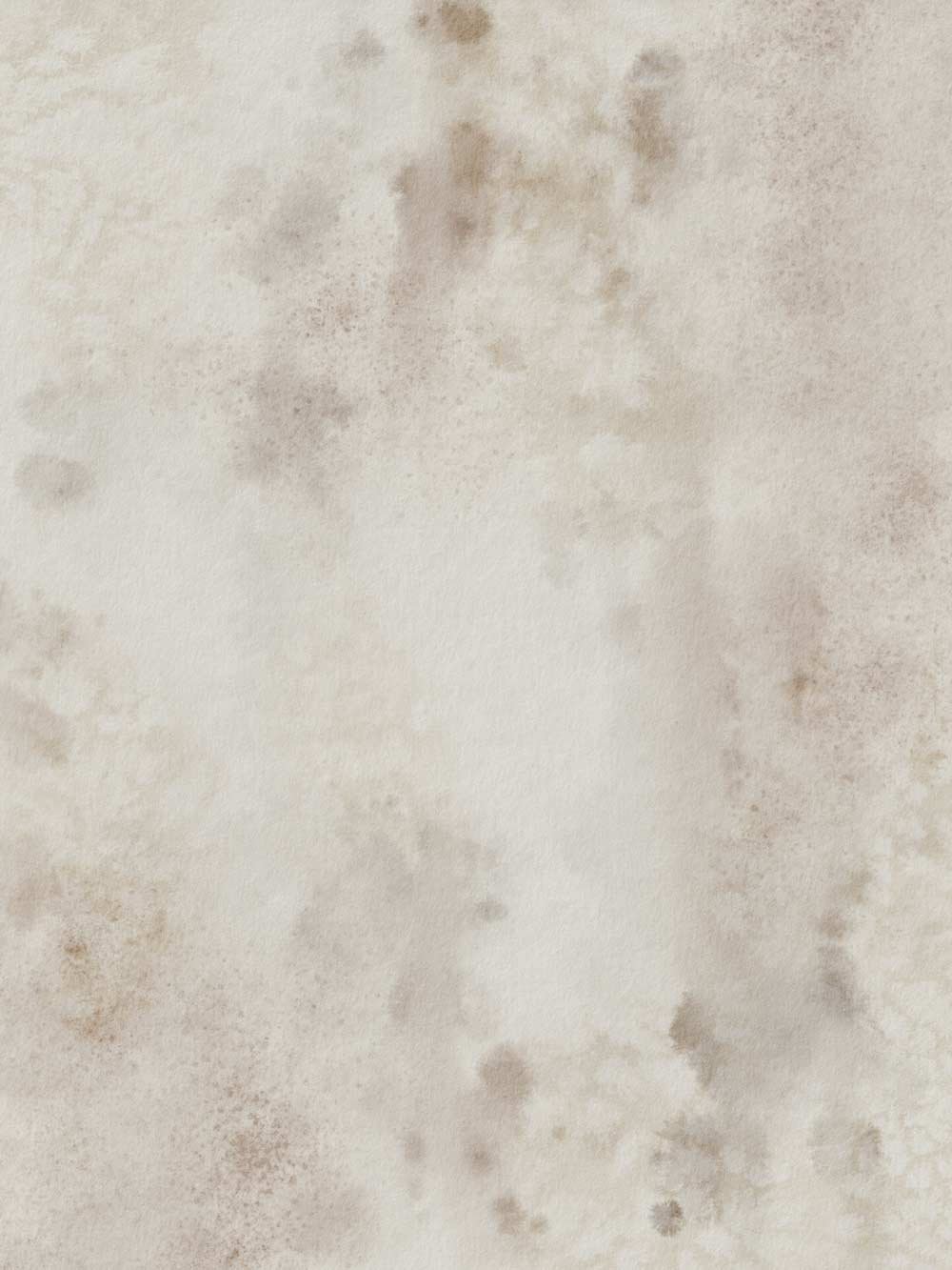 Close-up of a wall with brown mold spots and discoloration.