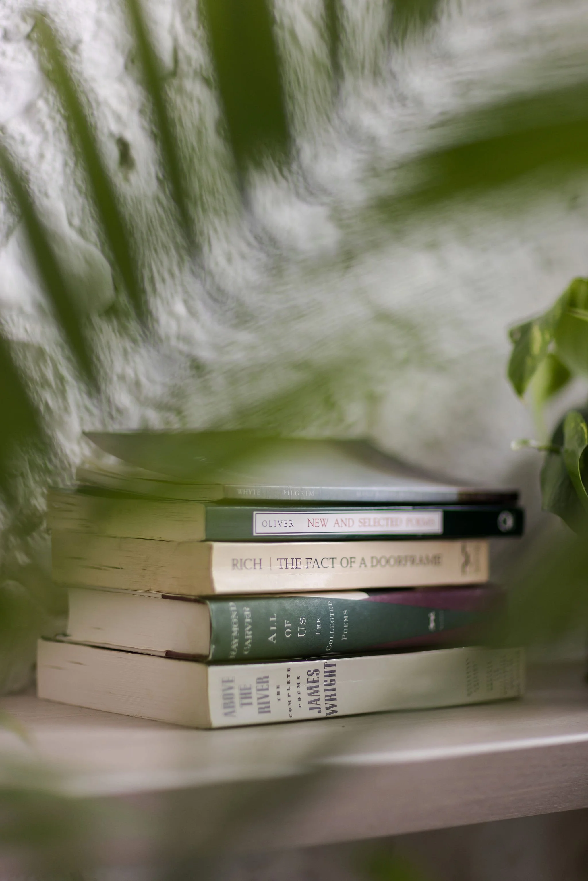 Close-up of a stack of books on a shelf, partially obscured by green leaves in the foreground, with titles including 'The Fact of a Doorframe' and 'All of Us'.