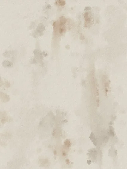 Close-up of a stained or dirty white wall with brown discoloration and spots.