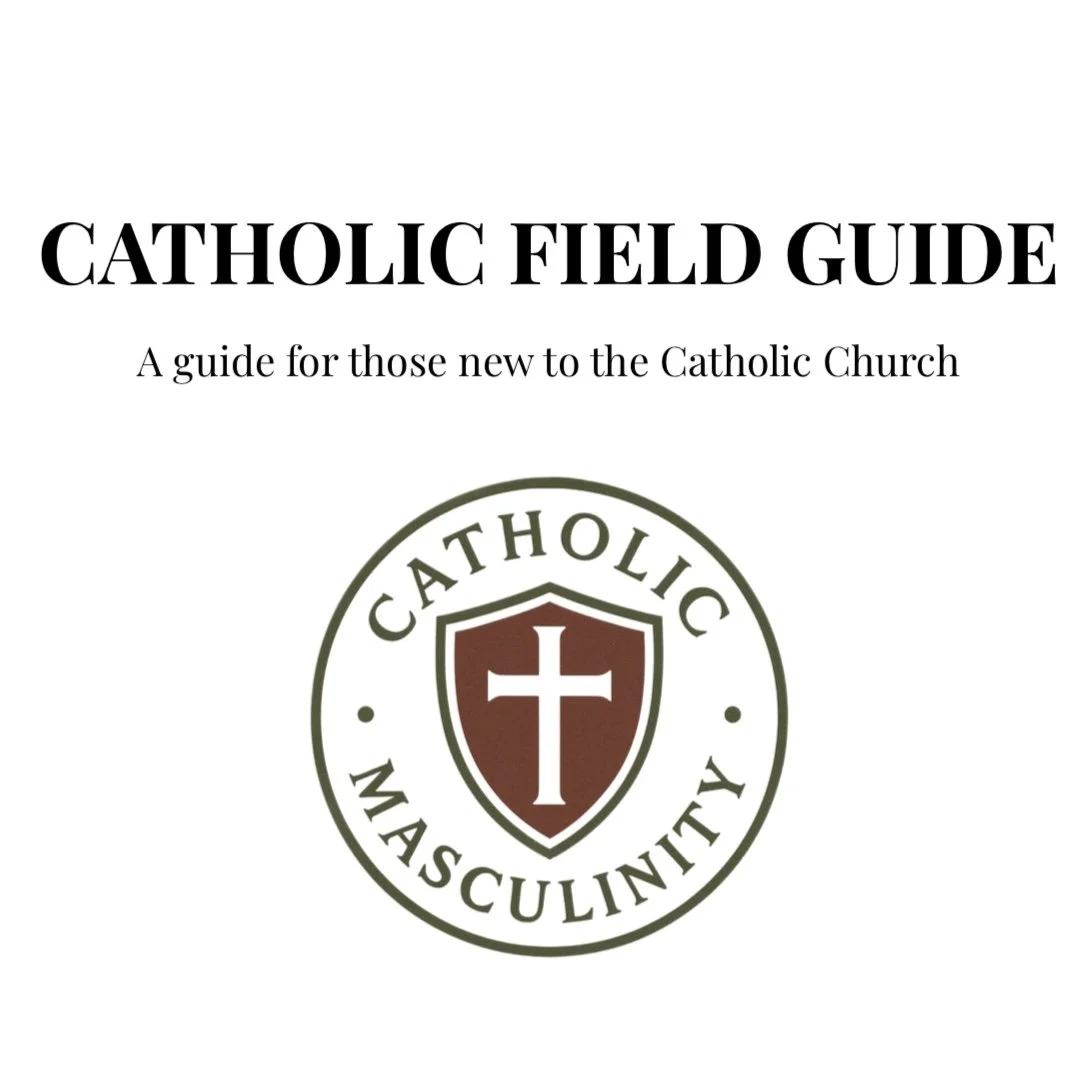 FREE Guide  For Beginners