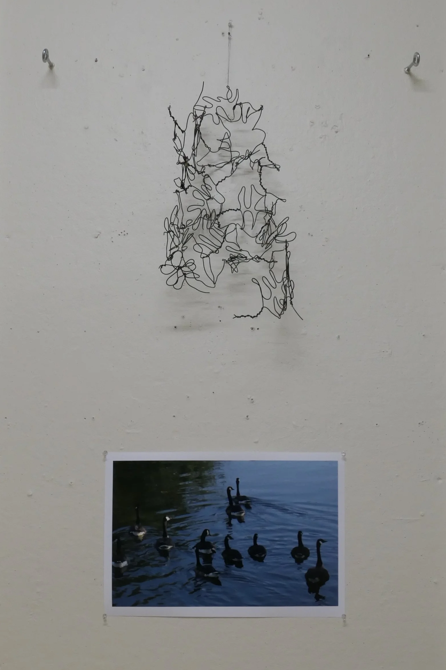 A wire sculpture hanging from the ceiling above a photograph of a group of ducks swimming in a pond.