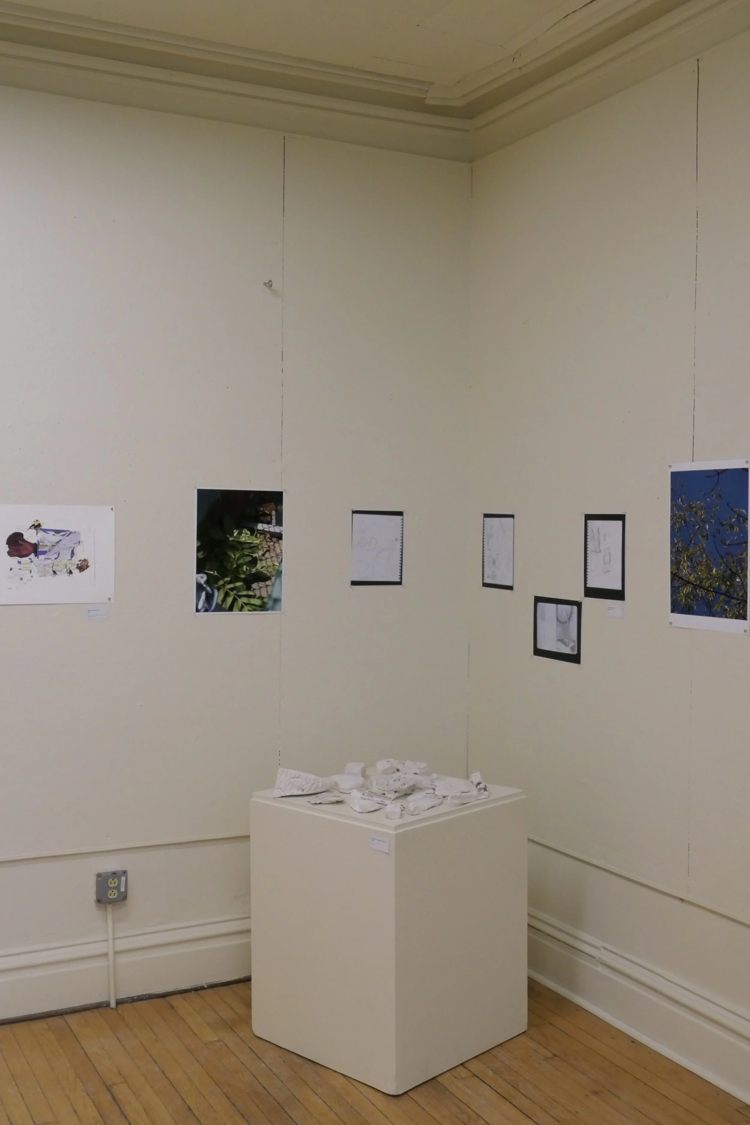 An art gallery wall displays framed artwork and photographs, with a white sculpture on a pedestal in front. The wall is beige, and the floor is wooden.