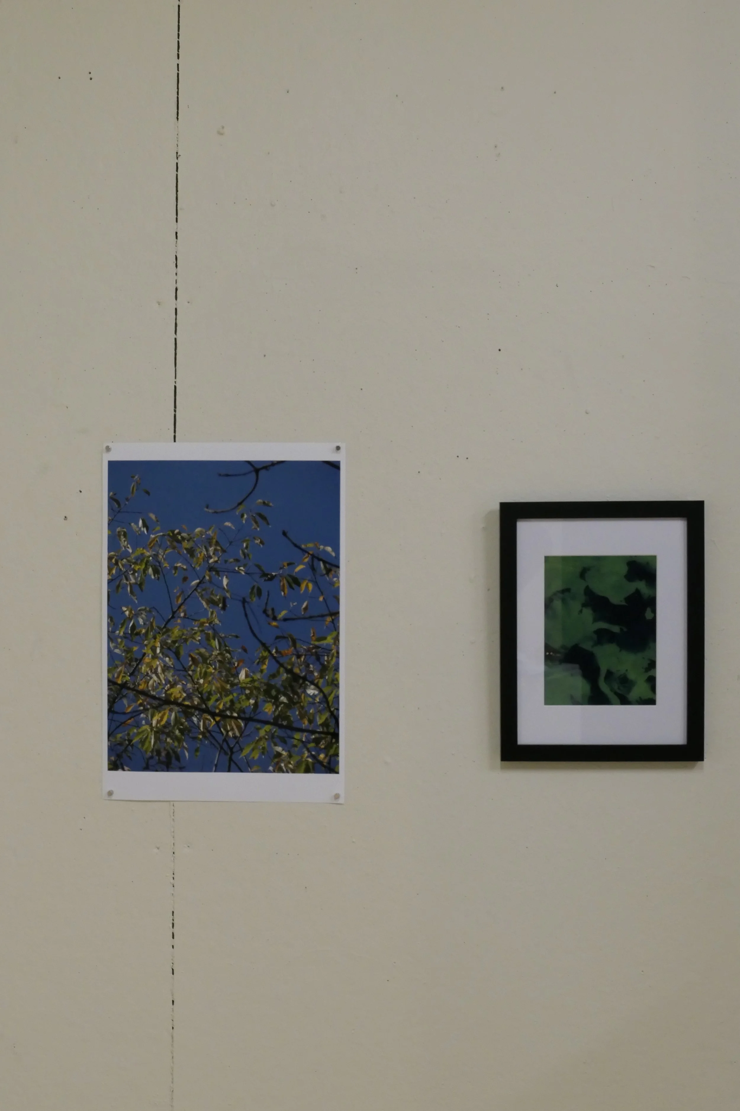 Two framed pictures hanging on a light-colored wall, one showing a blue sky with tree branches and leaves, and the other with a green foliage pattern.