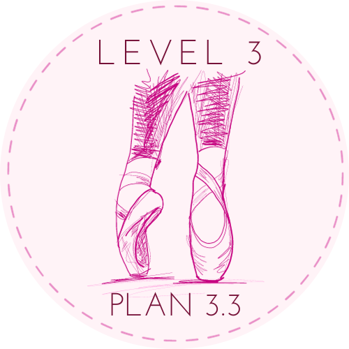 Level 3 Plan 3.3.png