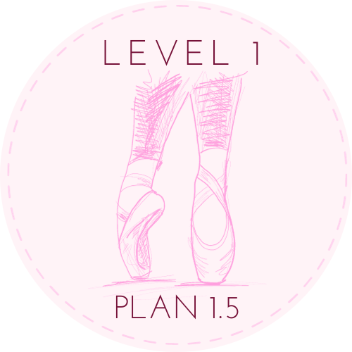 Beginner Level Lesson Plan 1.5