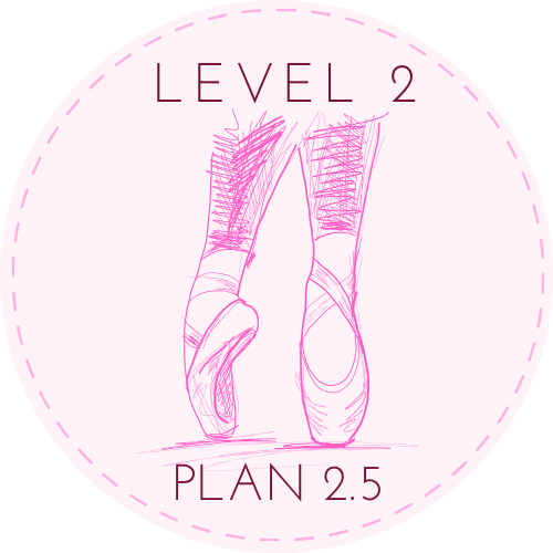 Beg/Int Level Lesson Plan 2.5