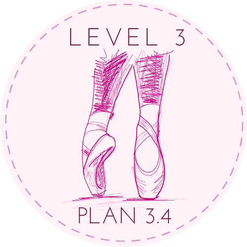 Intermediate Level Lesson Plan 3.4