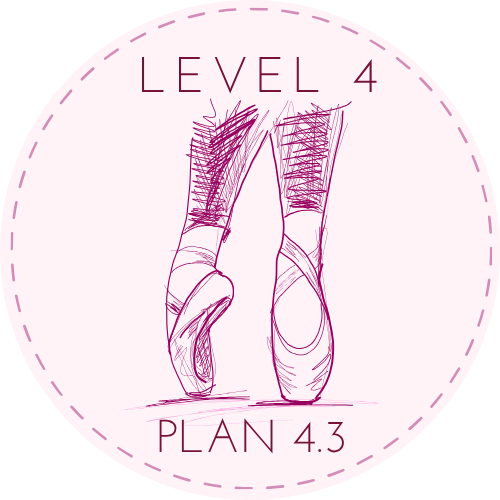 Level 4 Plan 4.3.png