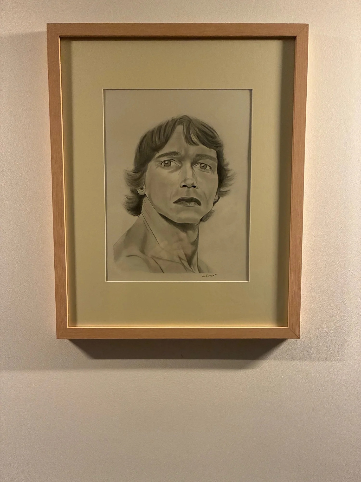 Arnold_framed_01.jpg