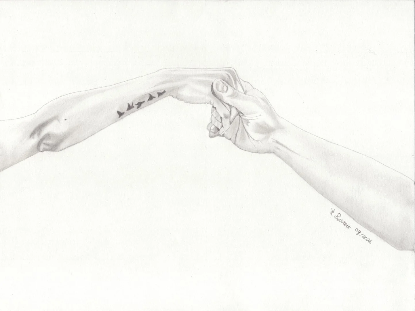 "Hands" 2026

12" x  09" graphite on paper