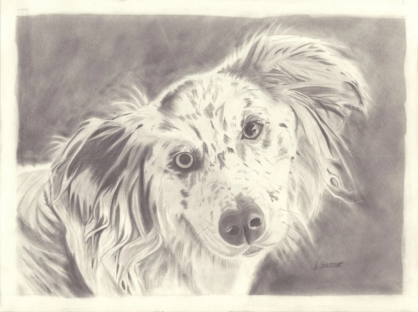 "Lyra" 2026

12" x 09" graphite on paper
