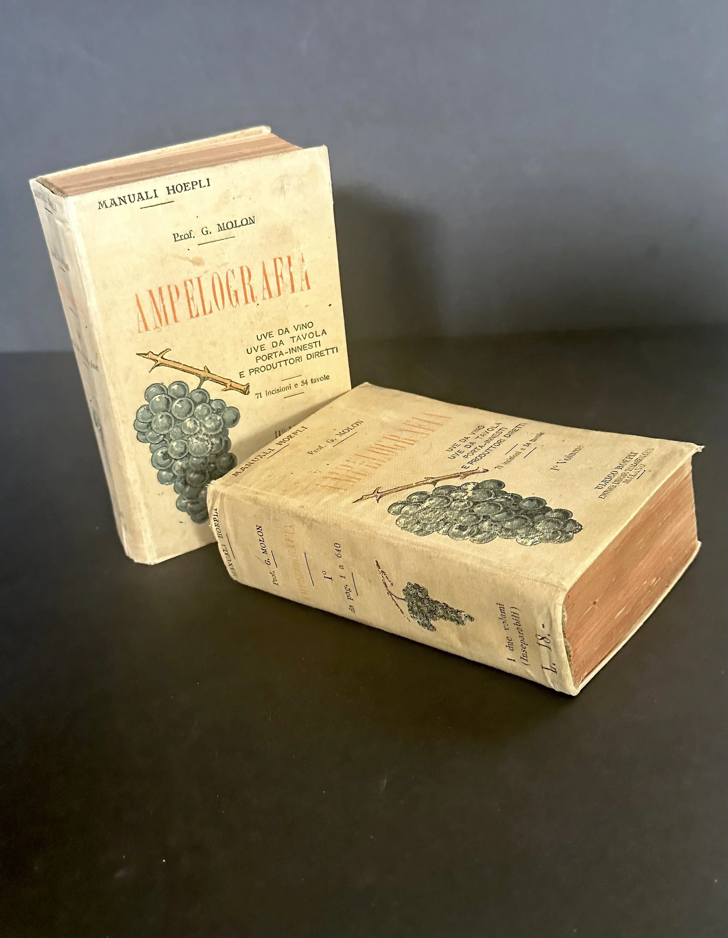 “Ampelographia”; Italian Work on Ampelography.”