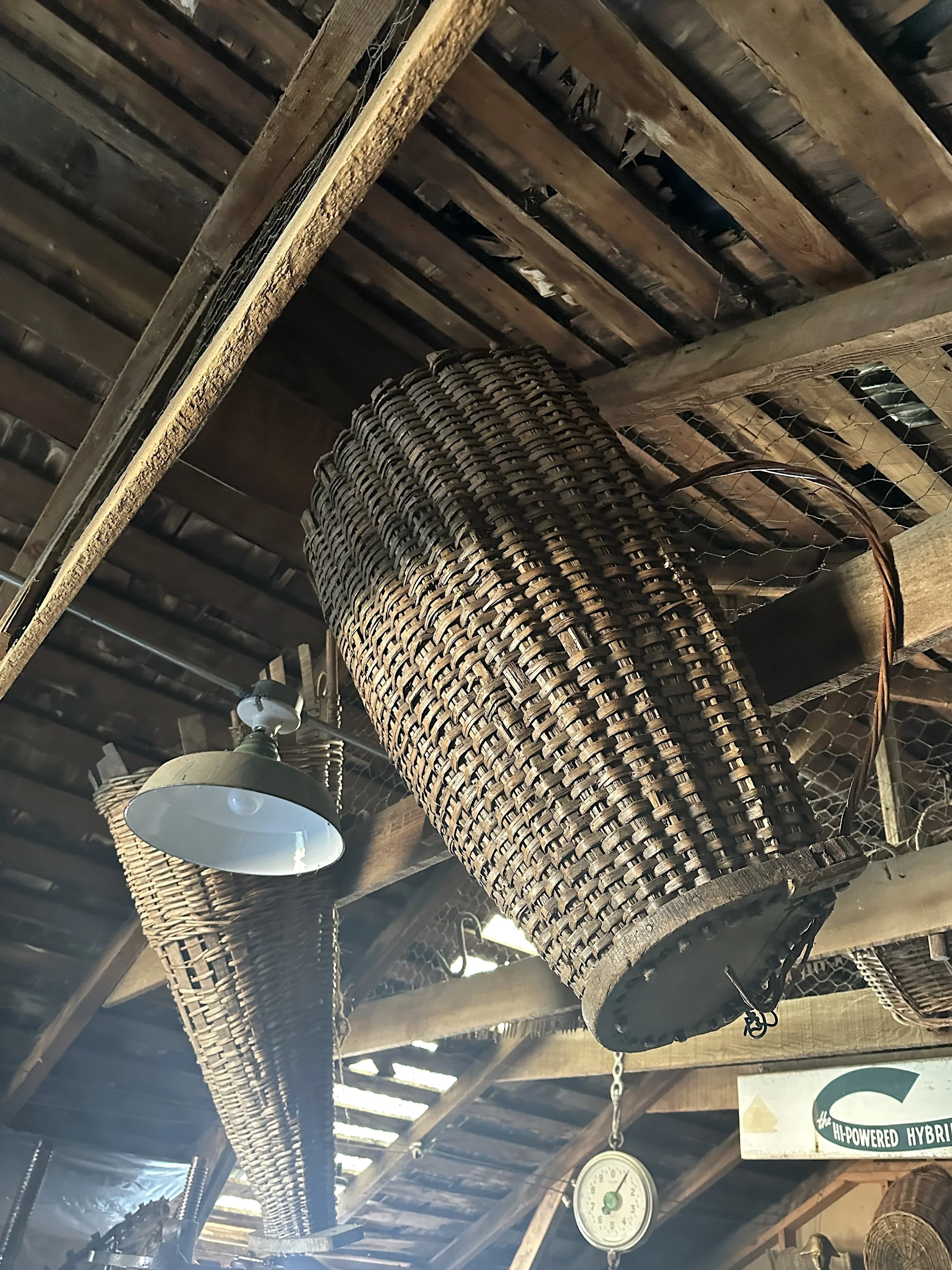 Grape Harvest Basket