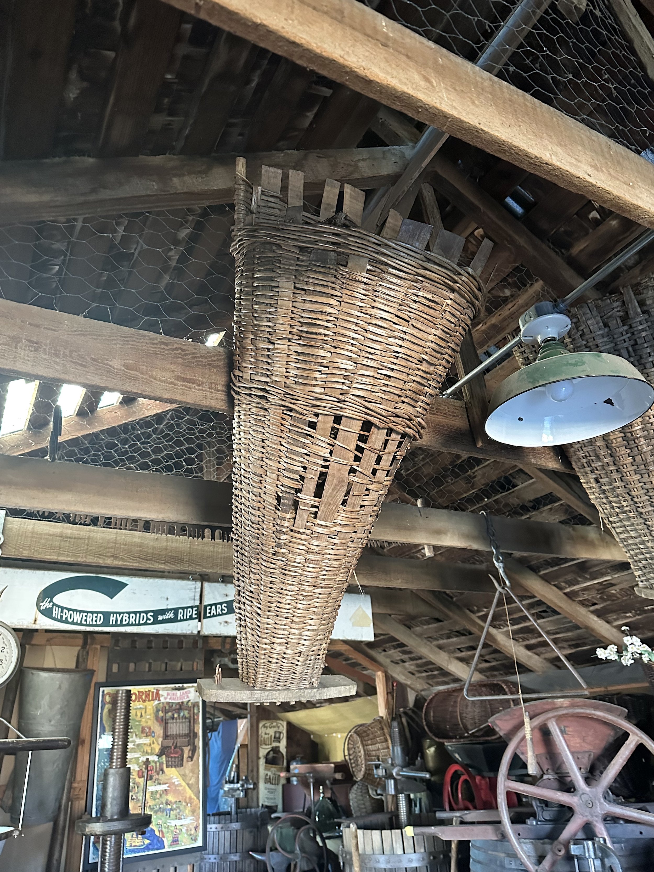 Grape Harvest Basket