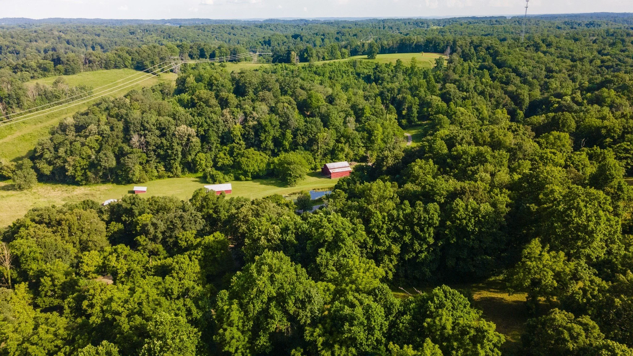 56.jpg