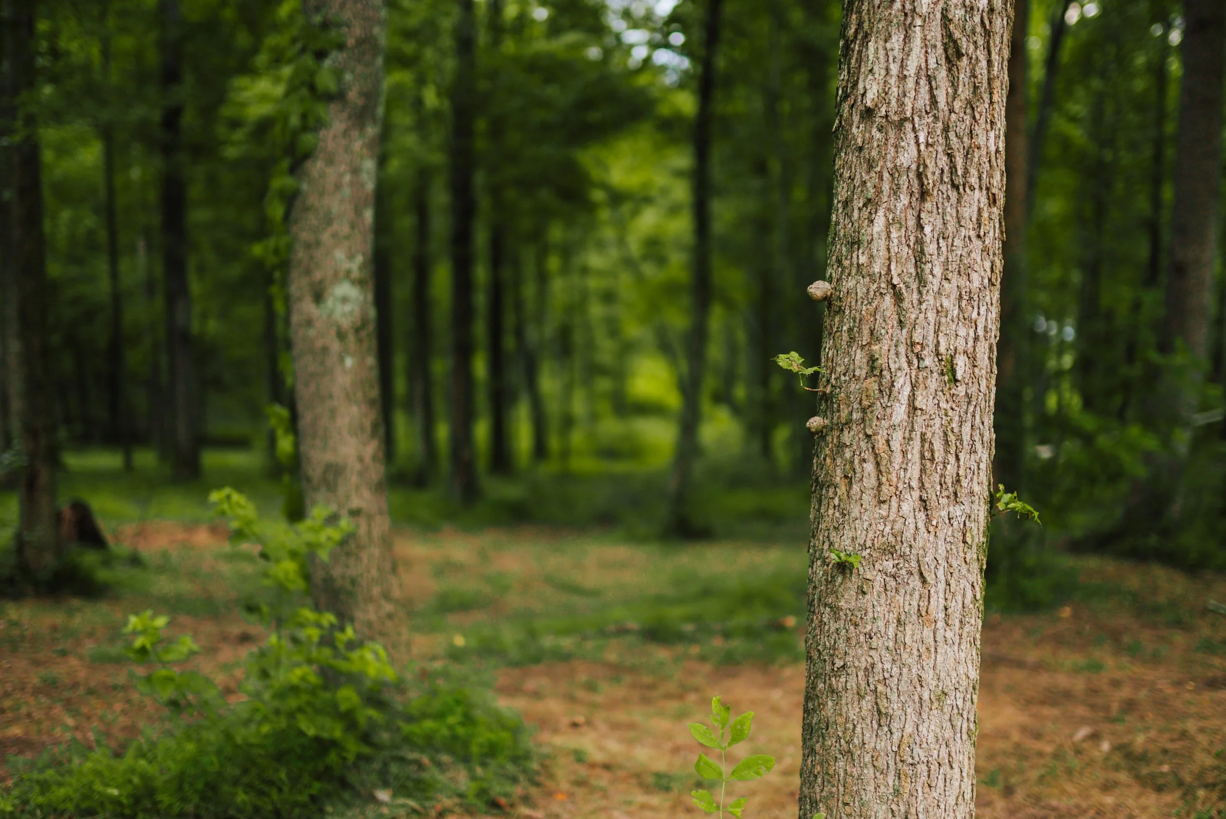 DSC02480.jpg