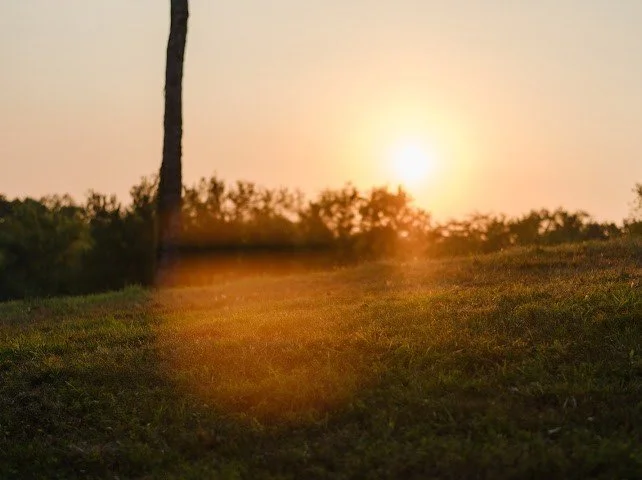 68.jpg