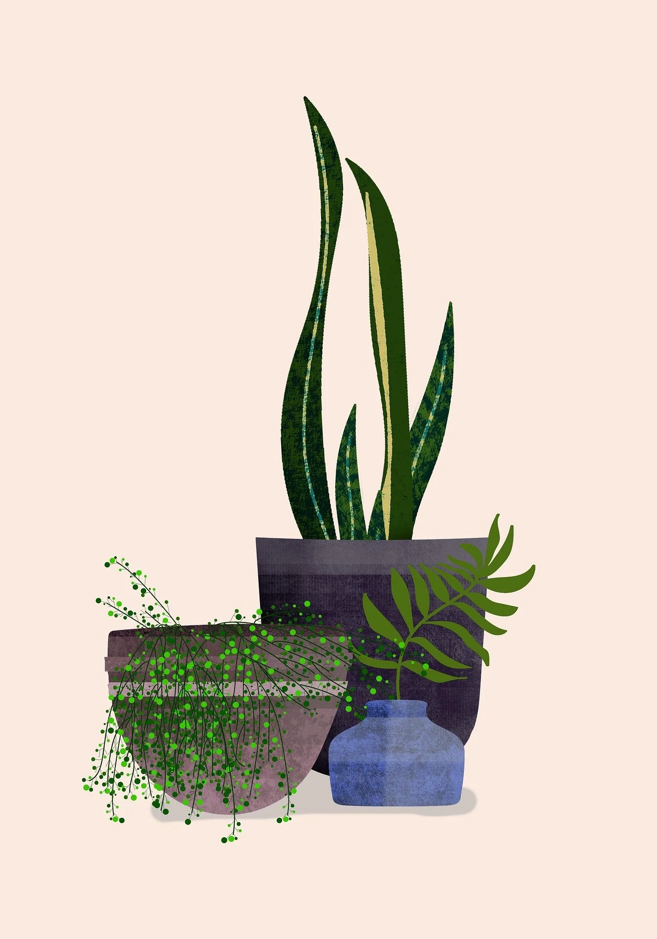 Illustration of three potted plants, including a tall green snake plant, a trailing plant with small round leaves, and a fern, against a beige background.
