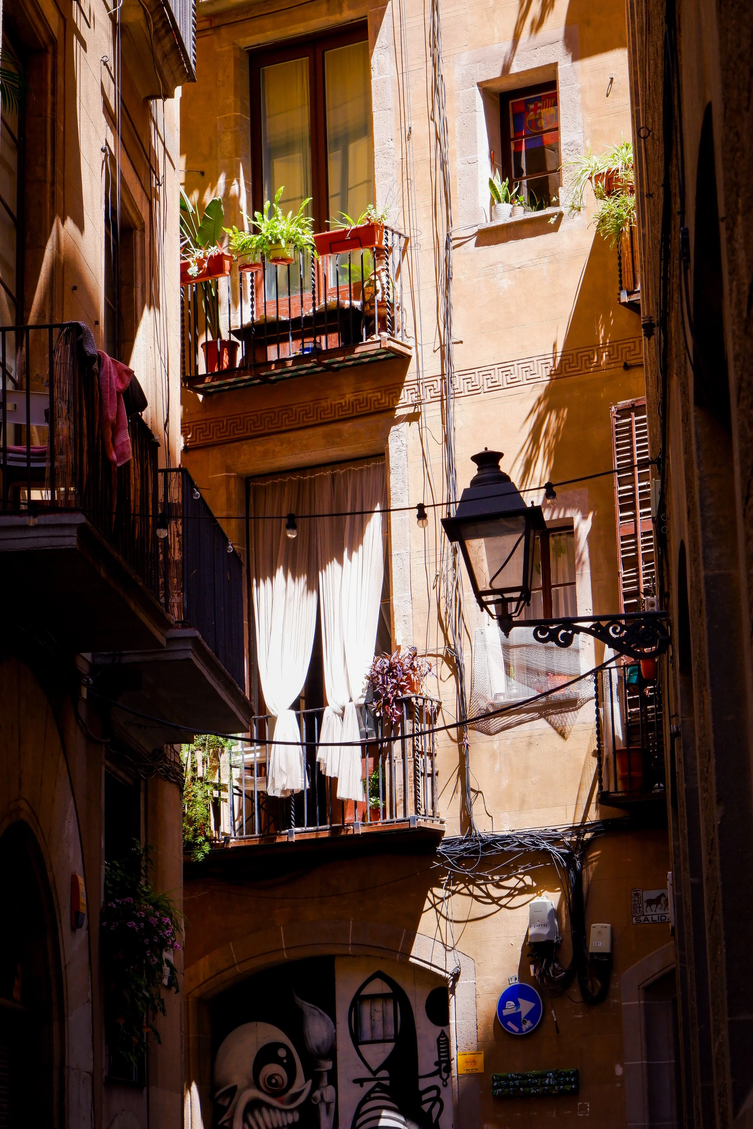 DSCF2674.jpg