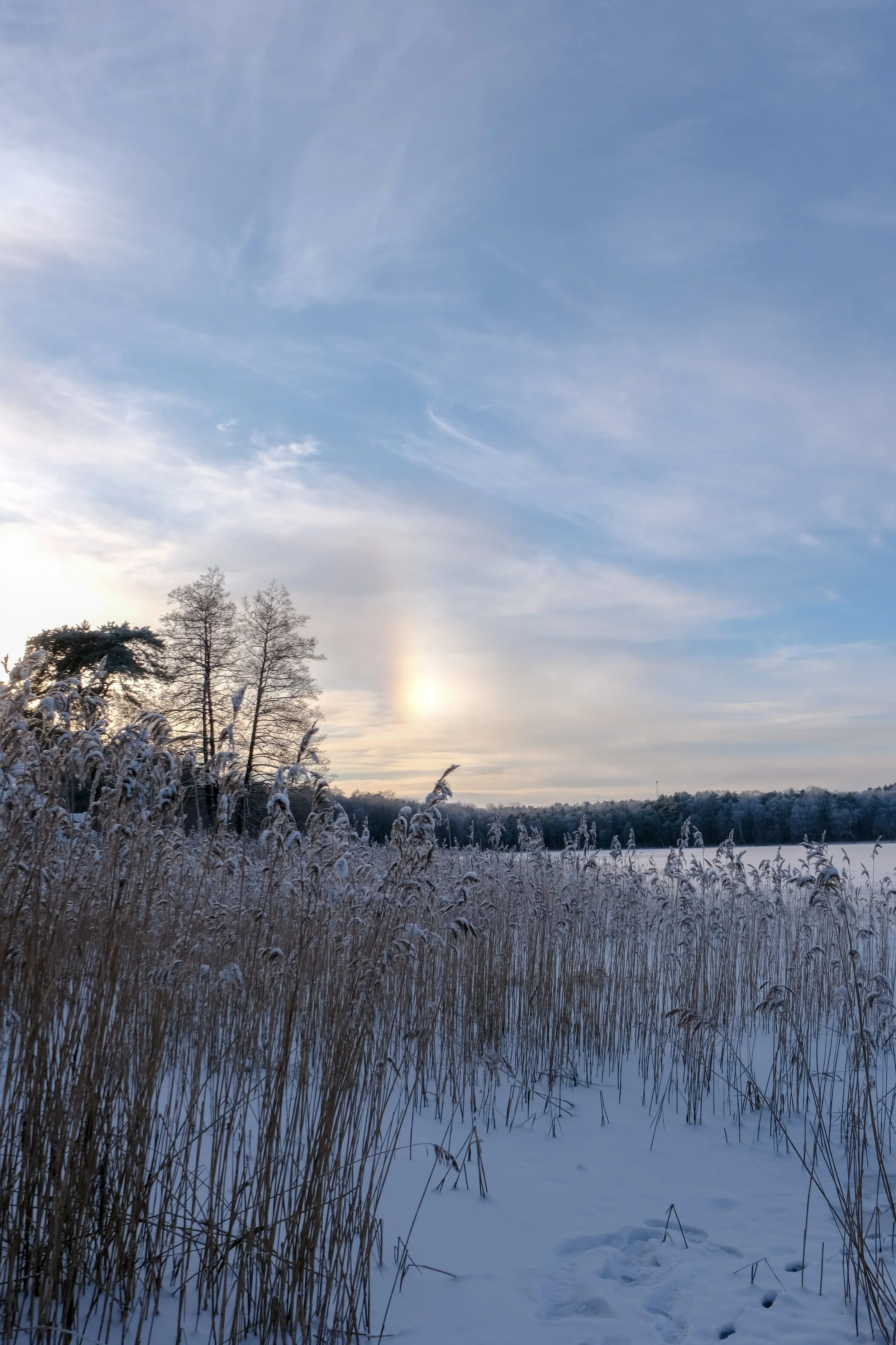 DSCF6559.jpg