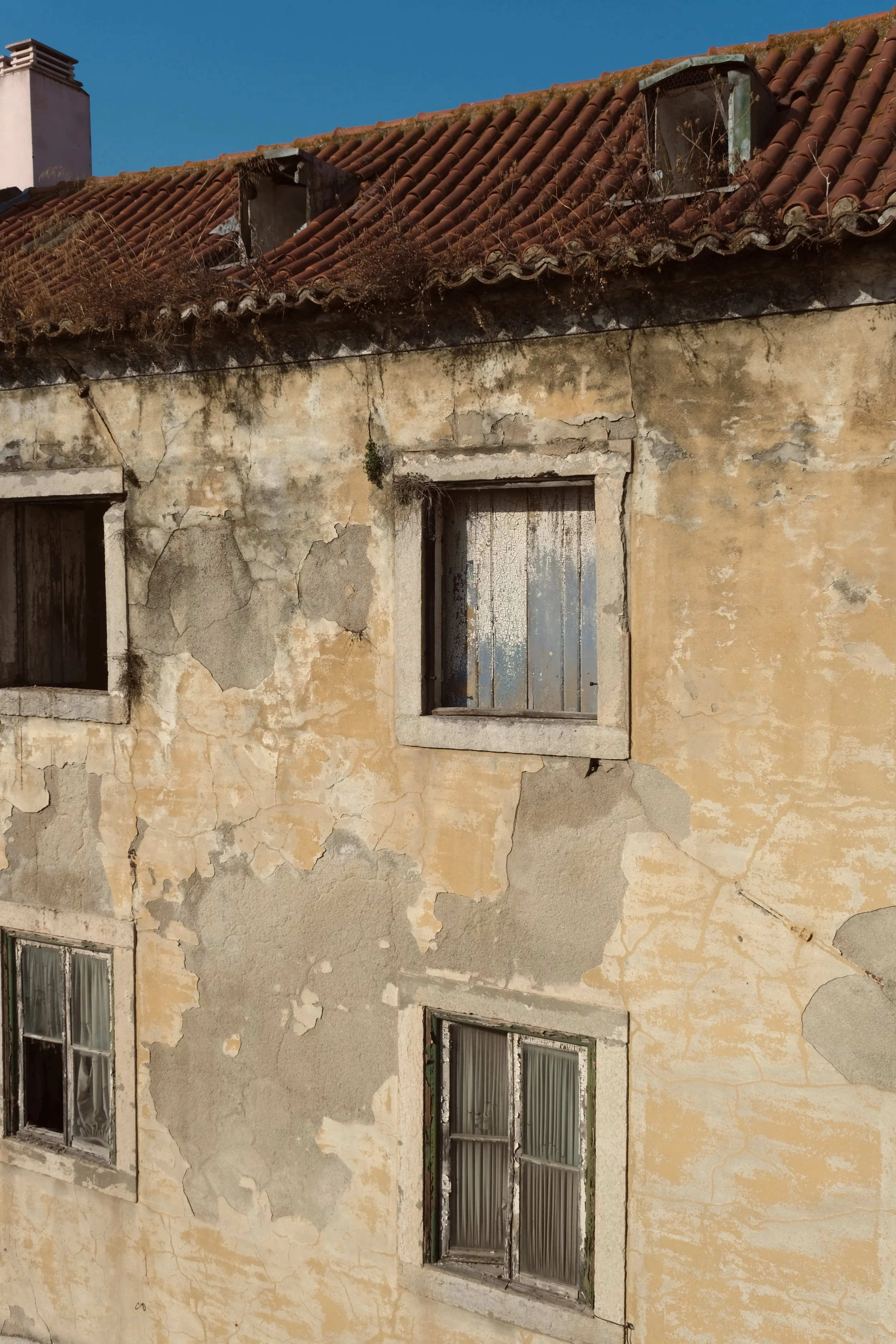 DSCF1719.jpg