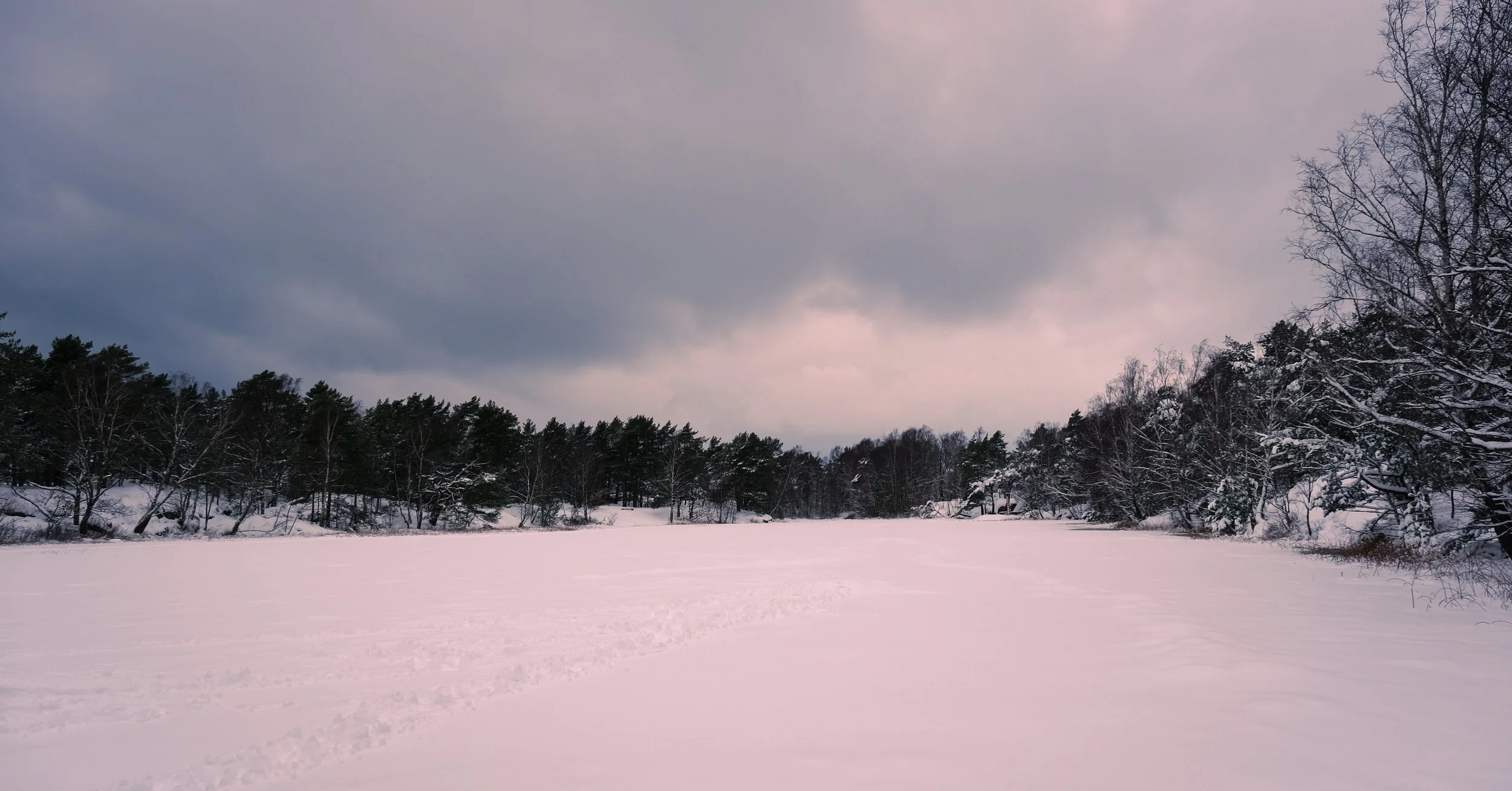 DSCF6734.jpg