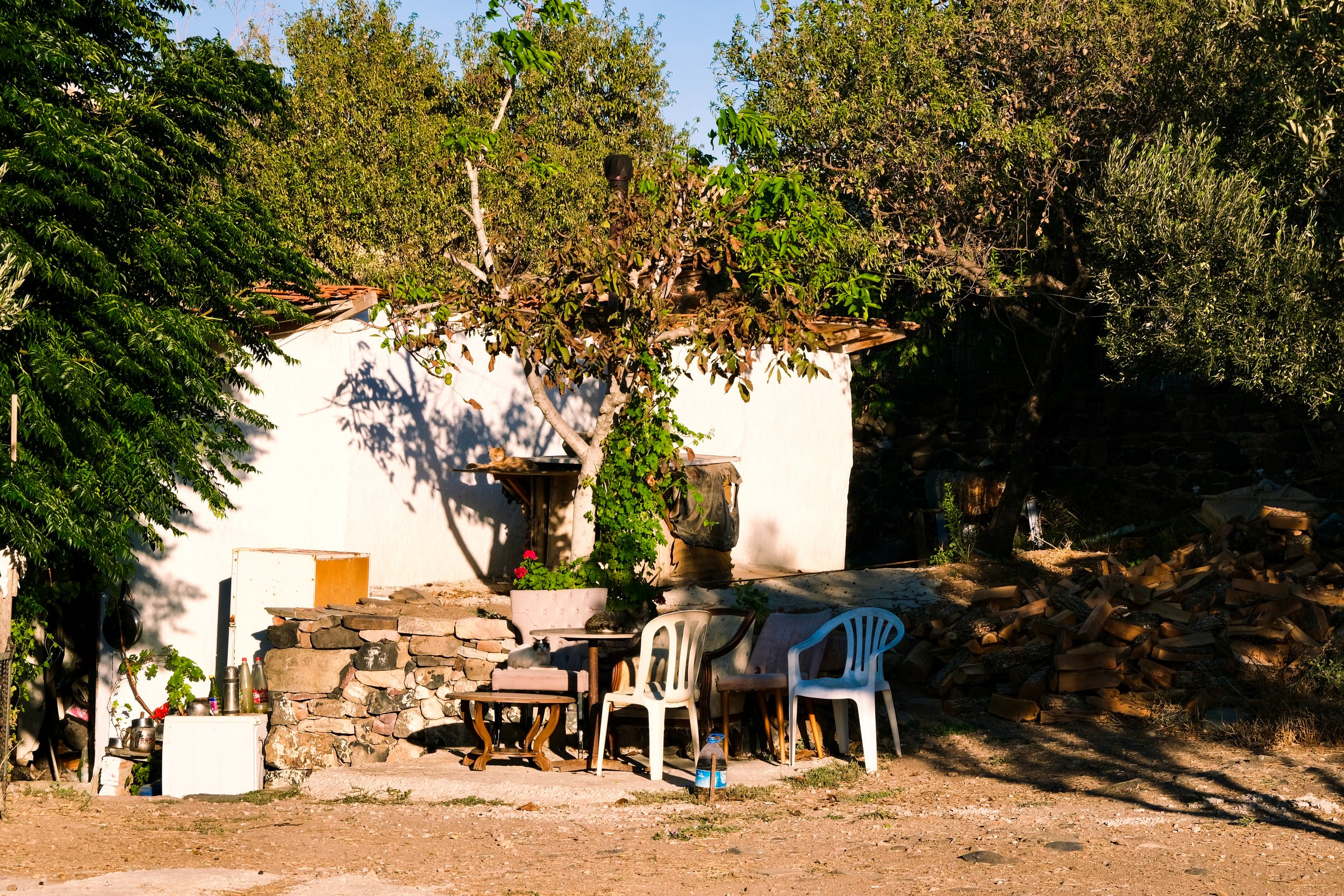 Untitled-56.jpg