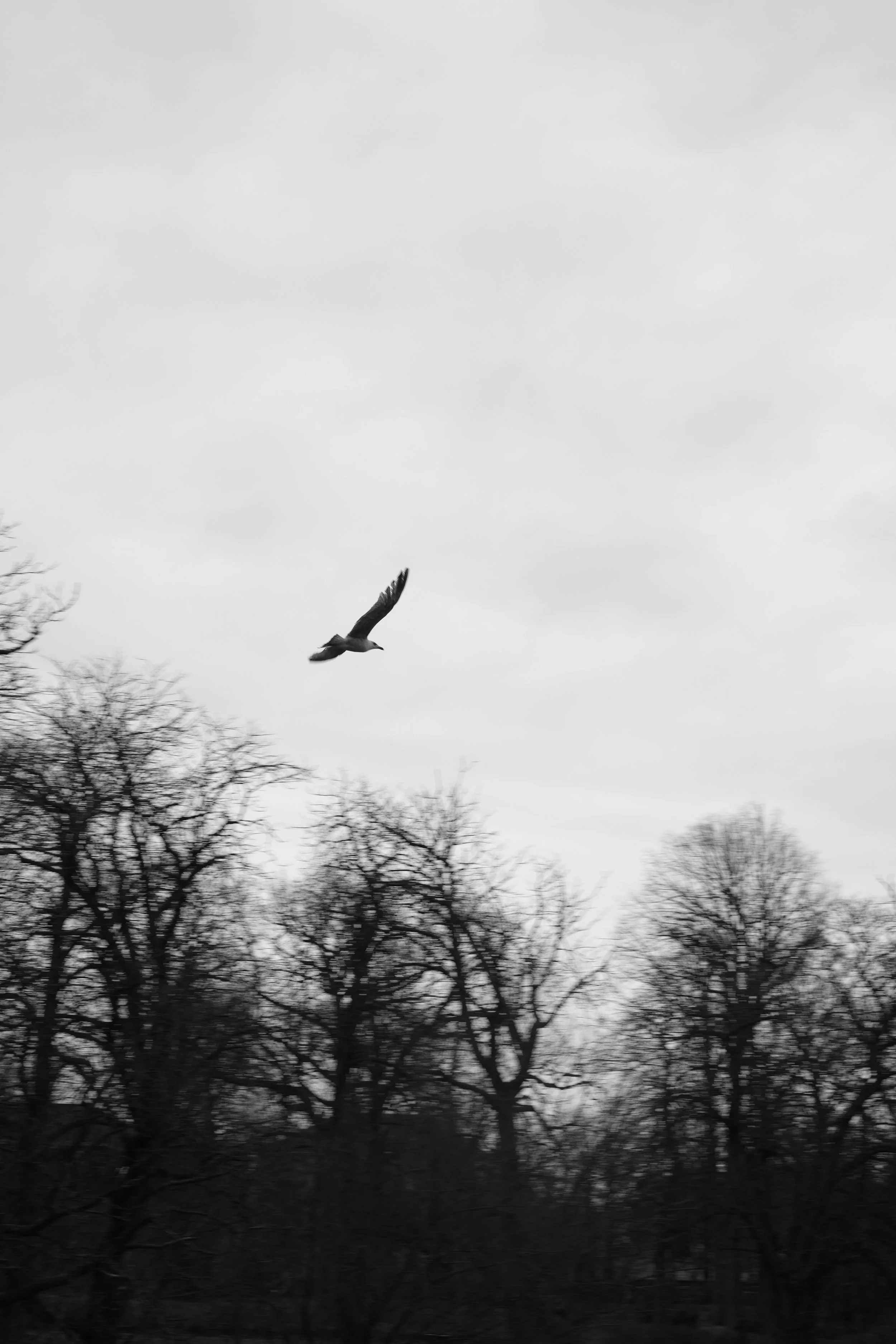 Untitled-66.jpg