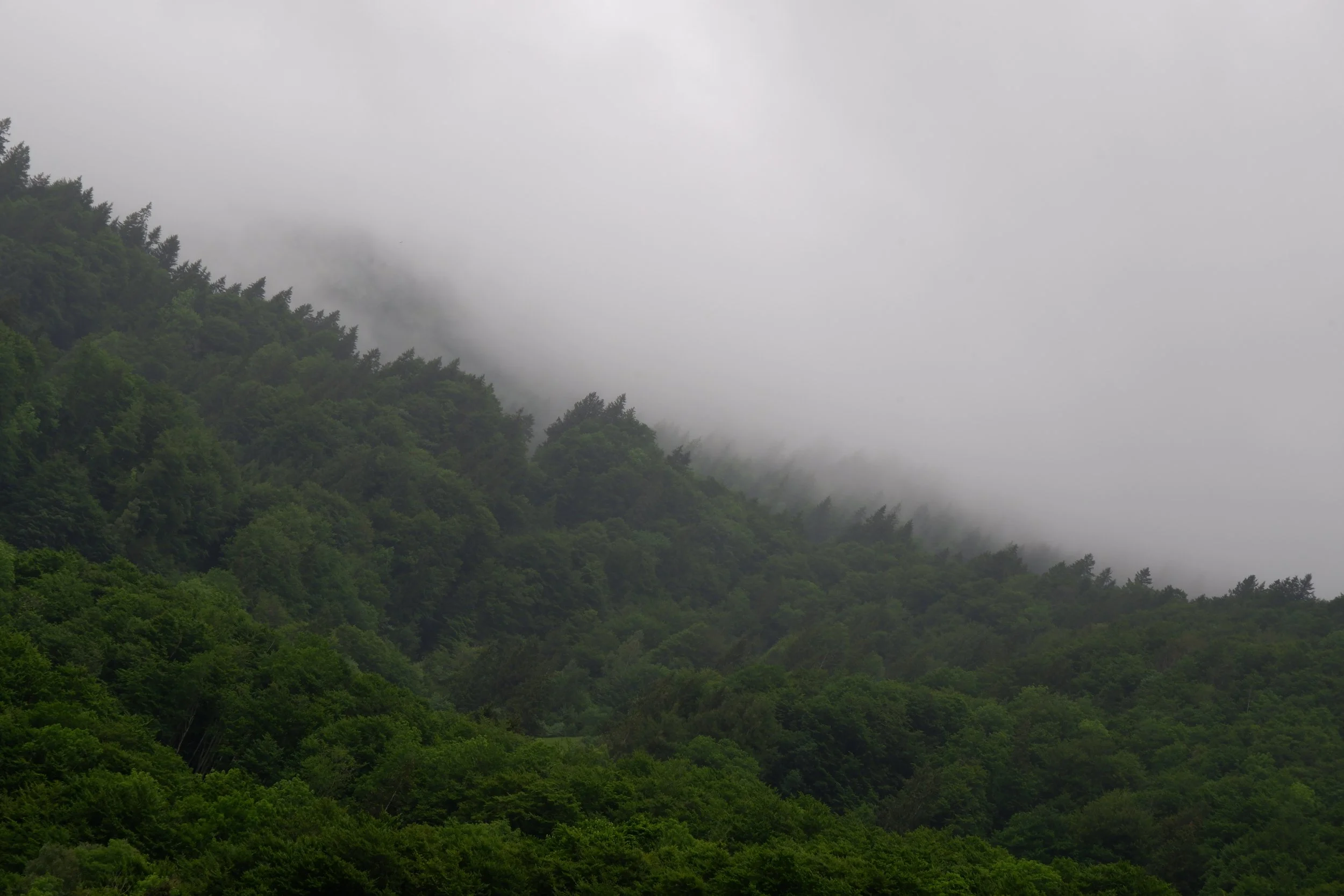 Untitled-124.jpg