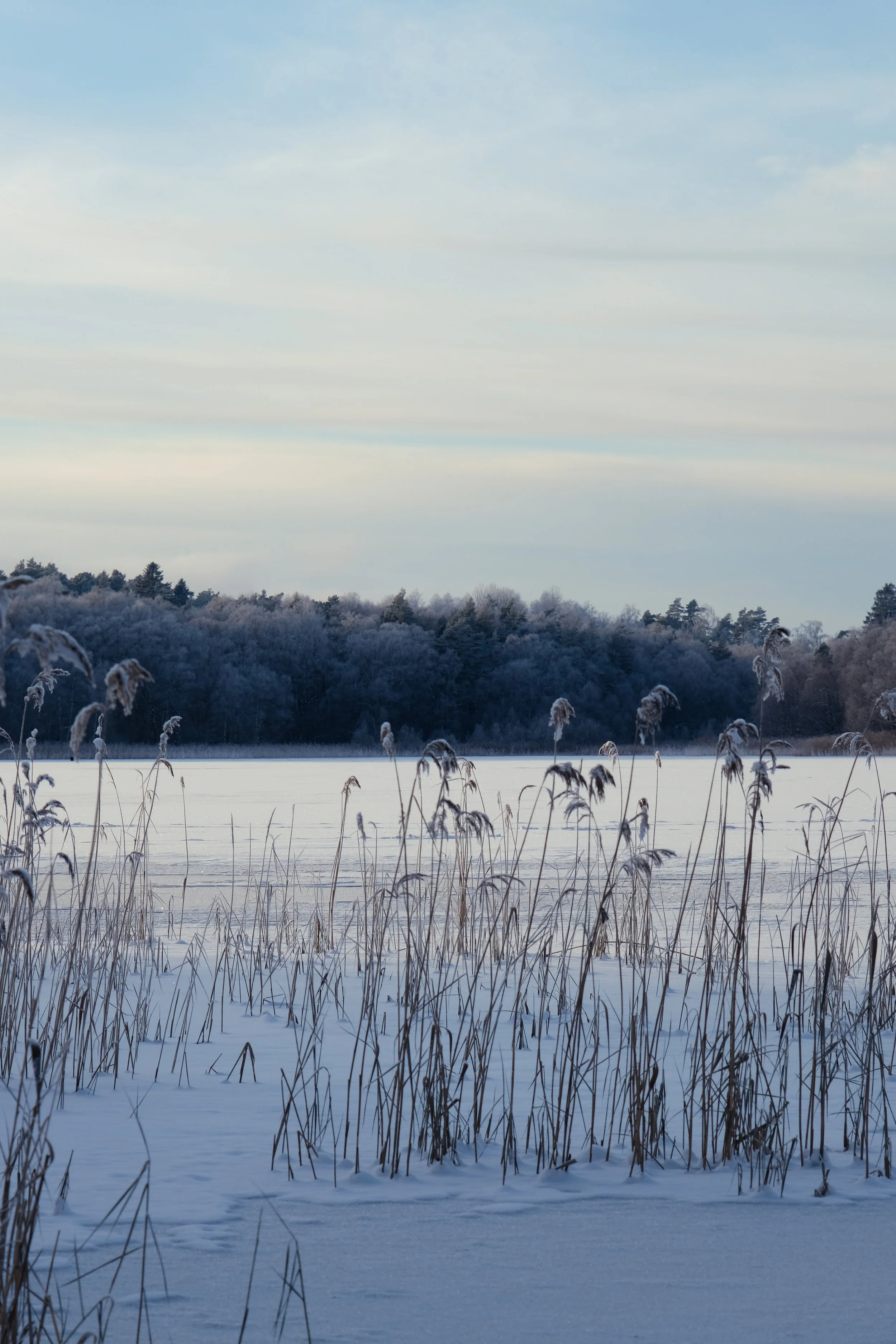 DSCF6522.jpg