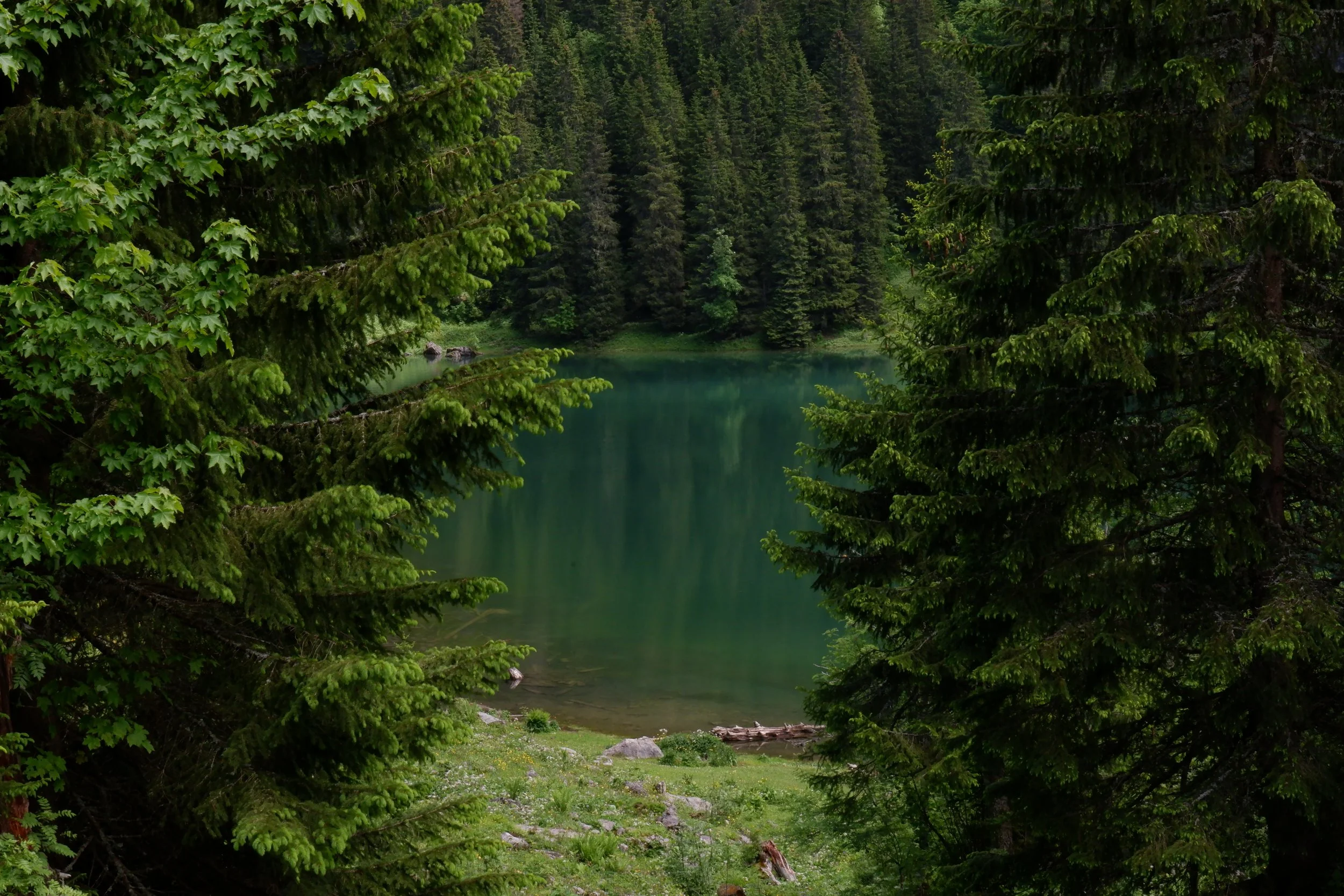 Untitled-37.jpg