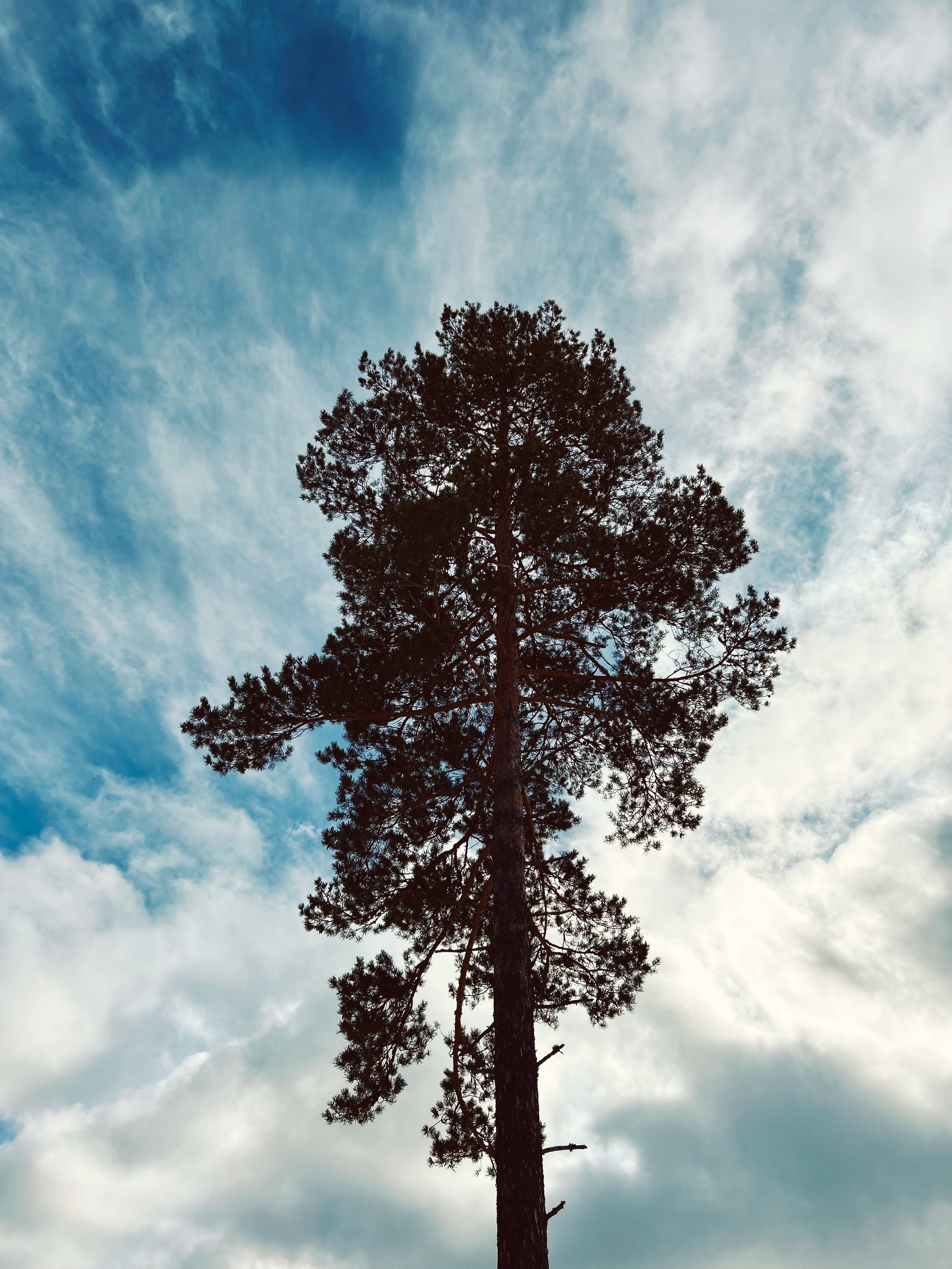 Untitled-8.jpg