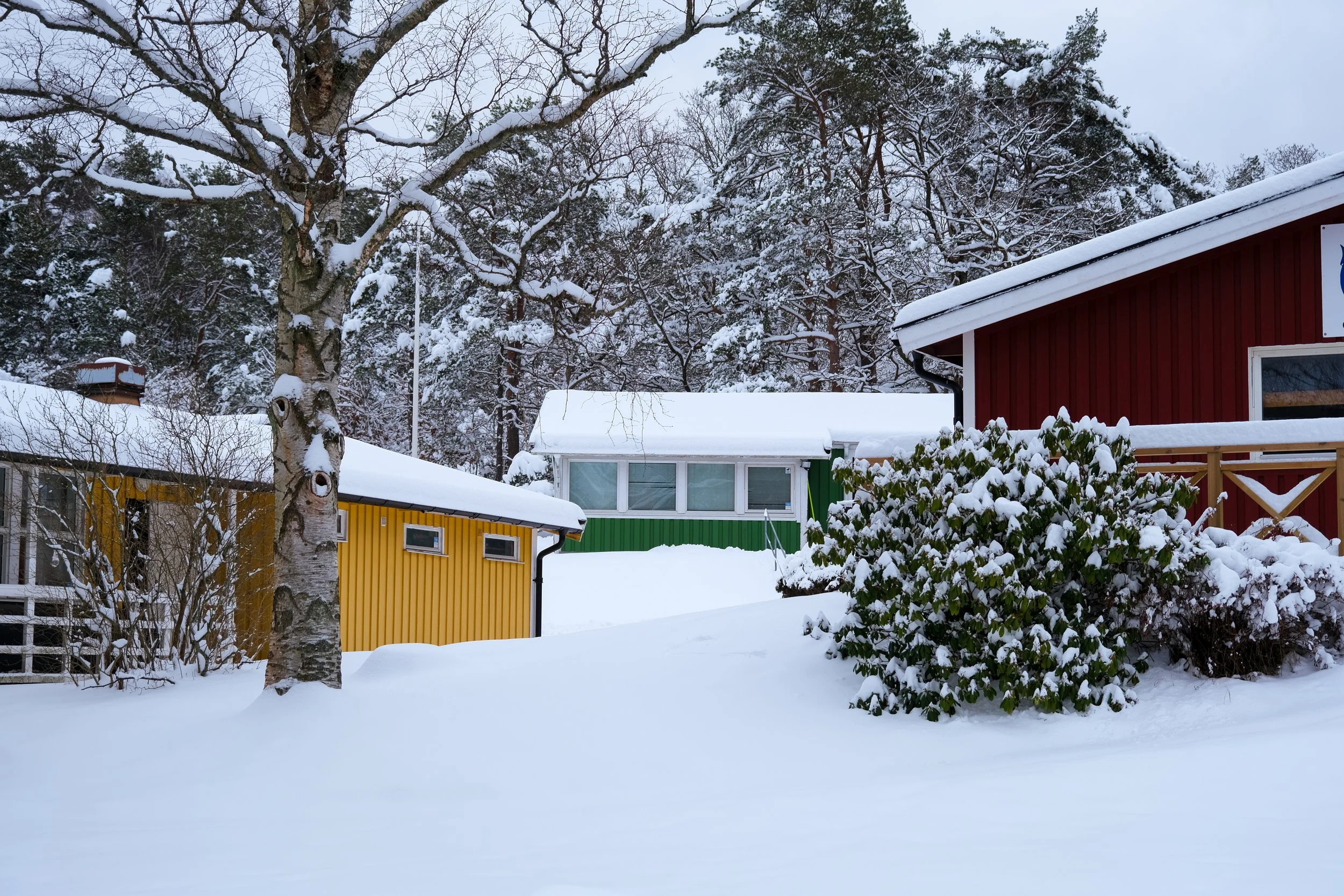 DSCF6832.jpg