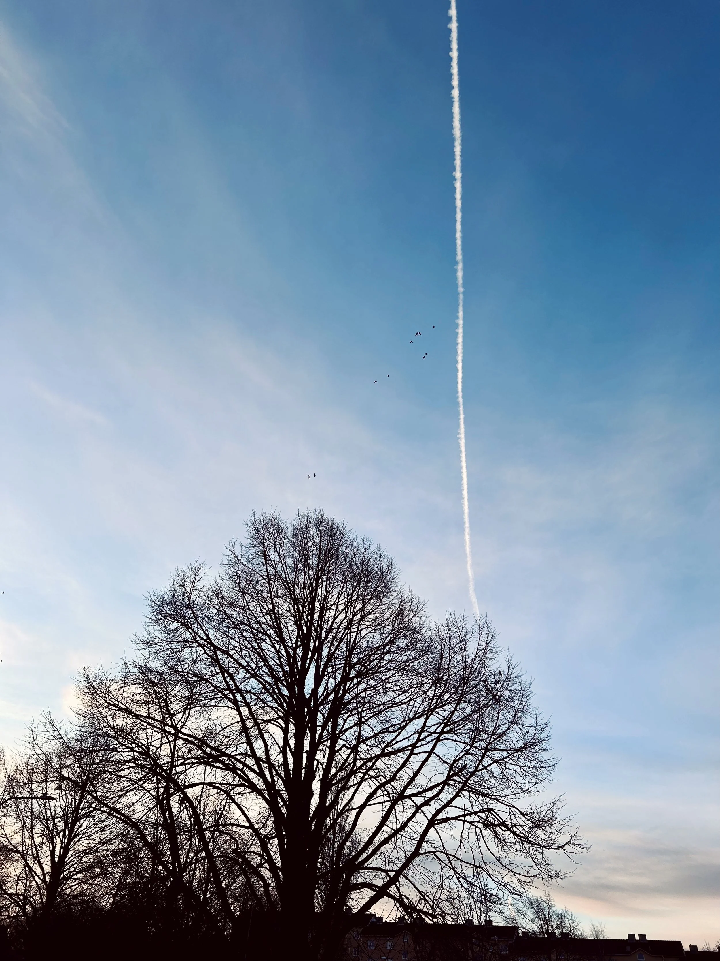 Untitled-109.jpg