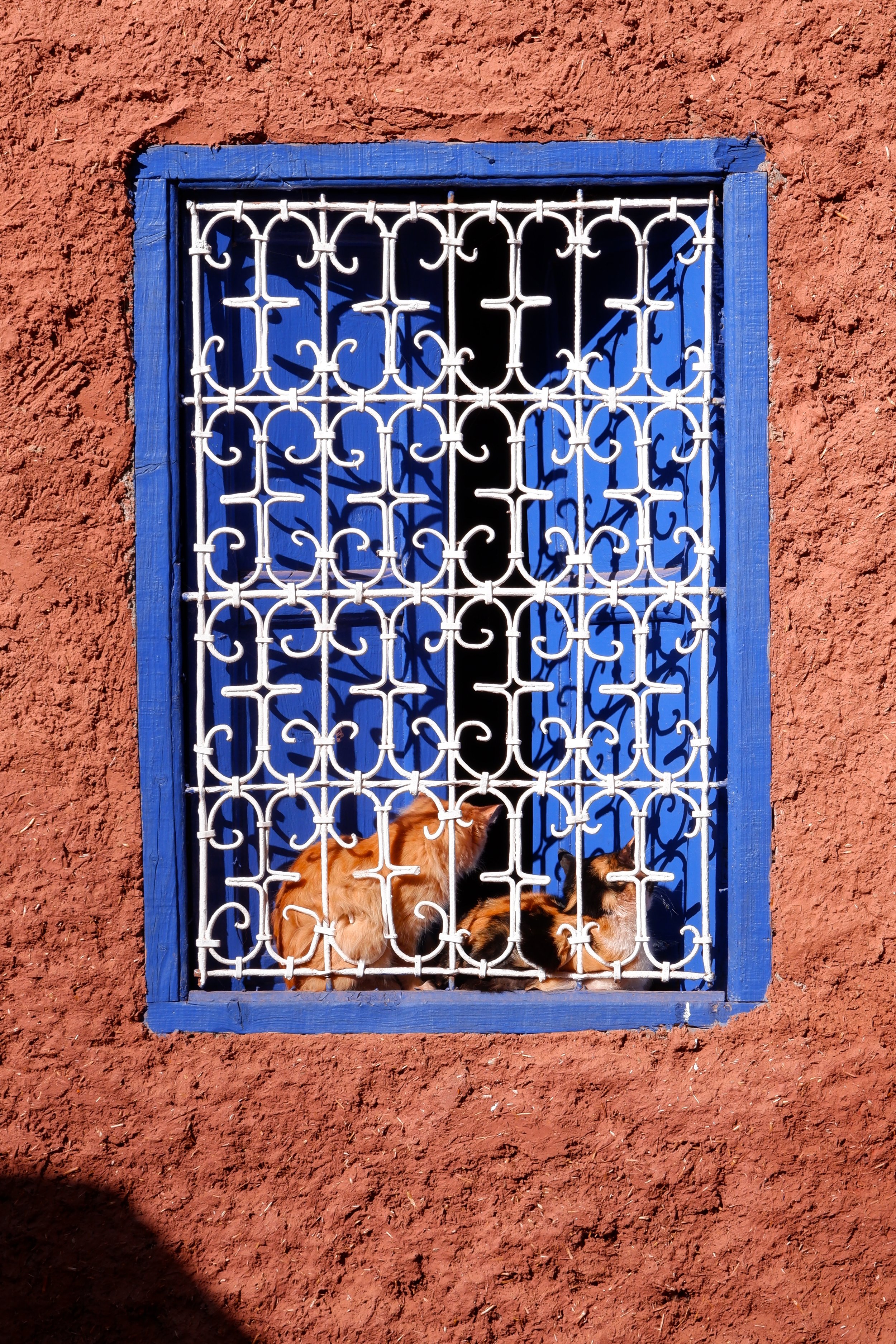 Untitled-7.jpg