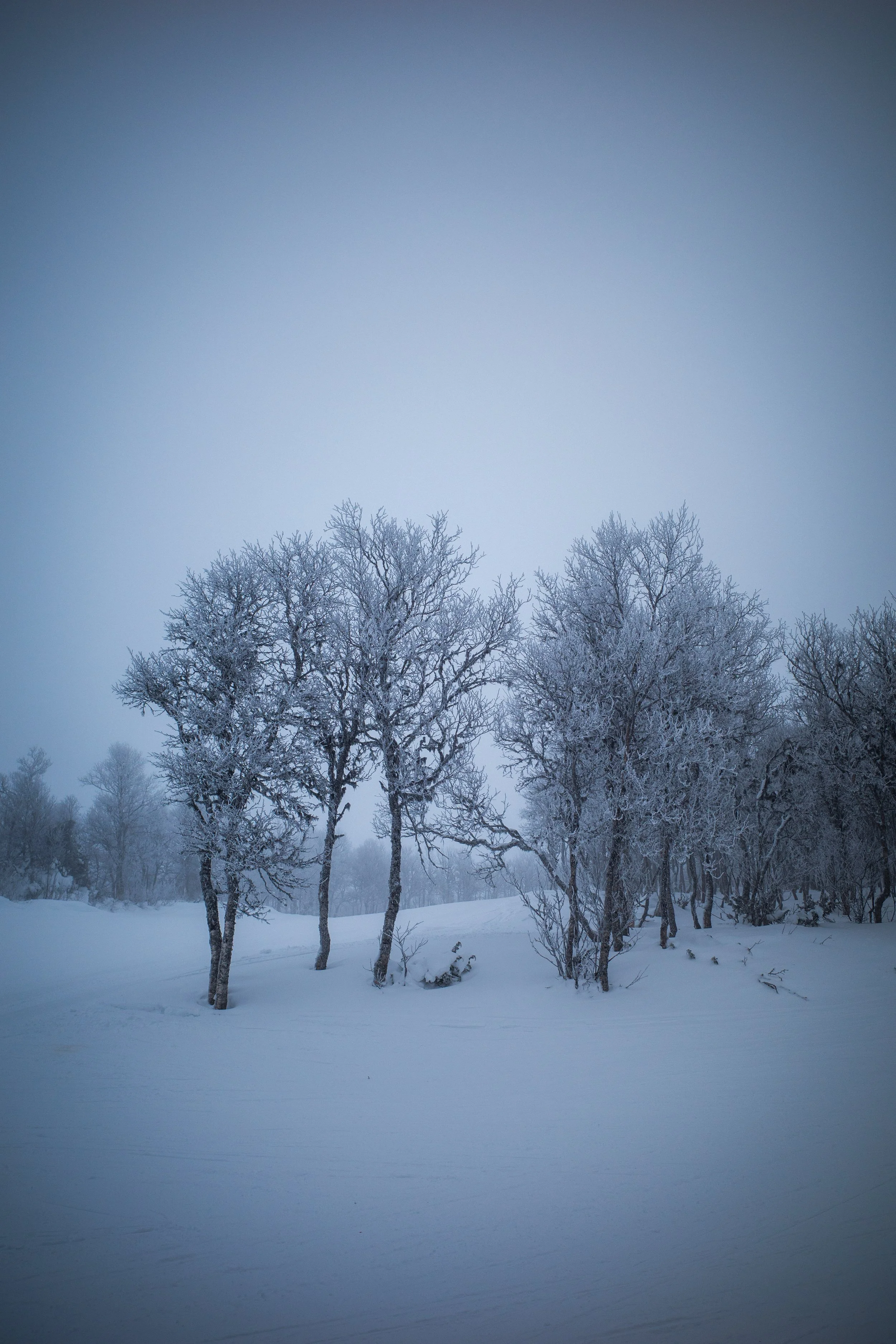 Untitled-144.jpg