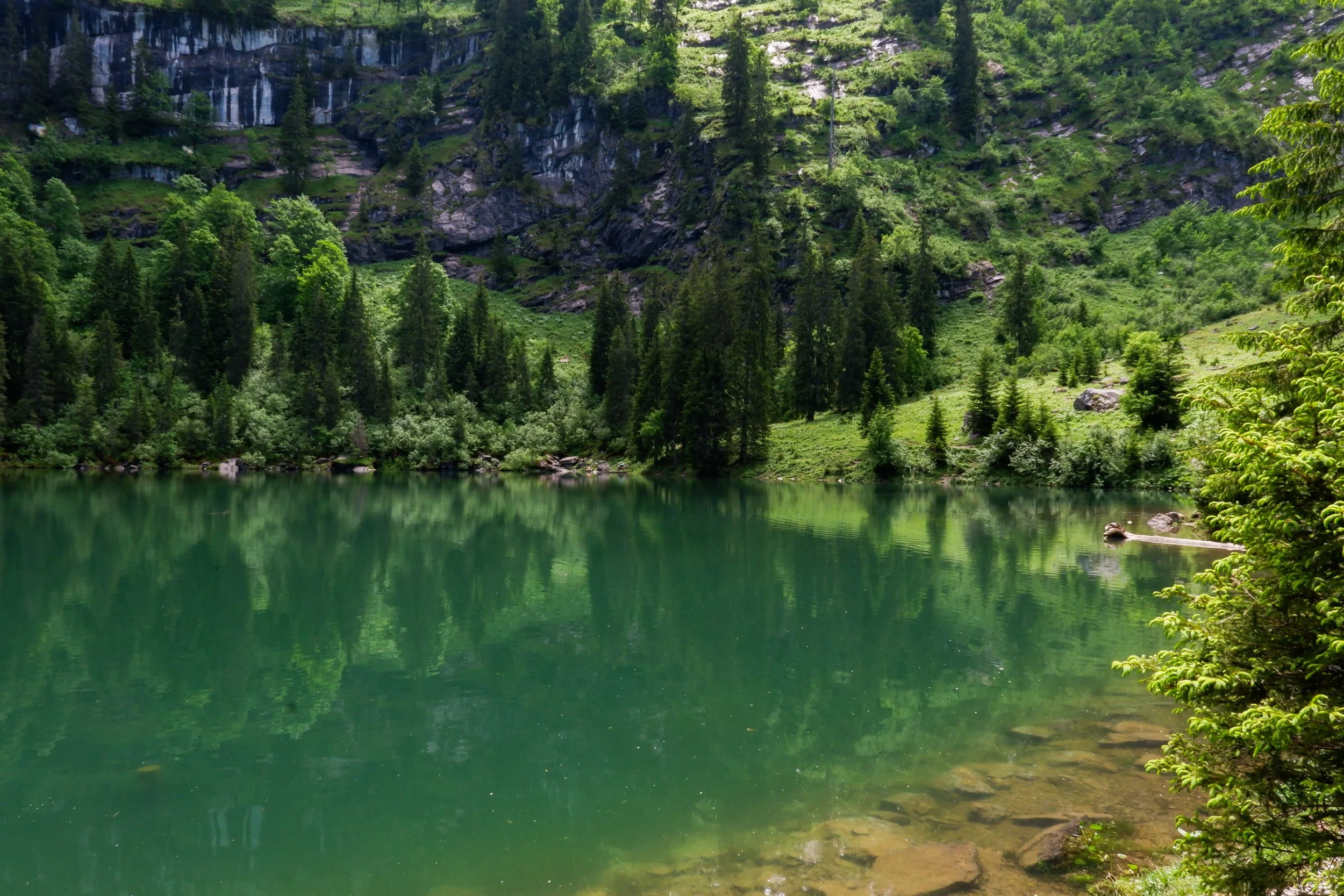 Untitled-38.jpg