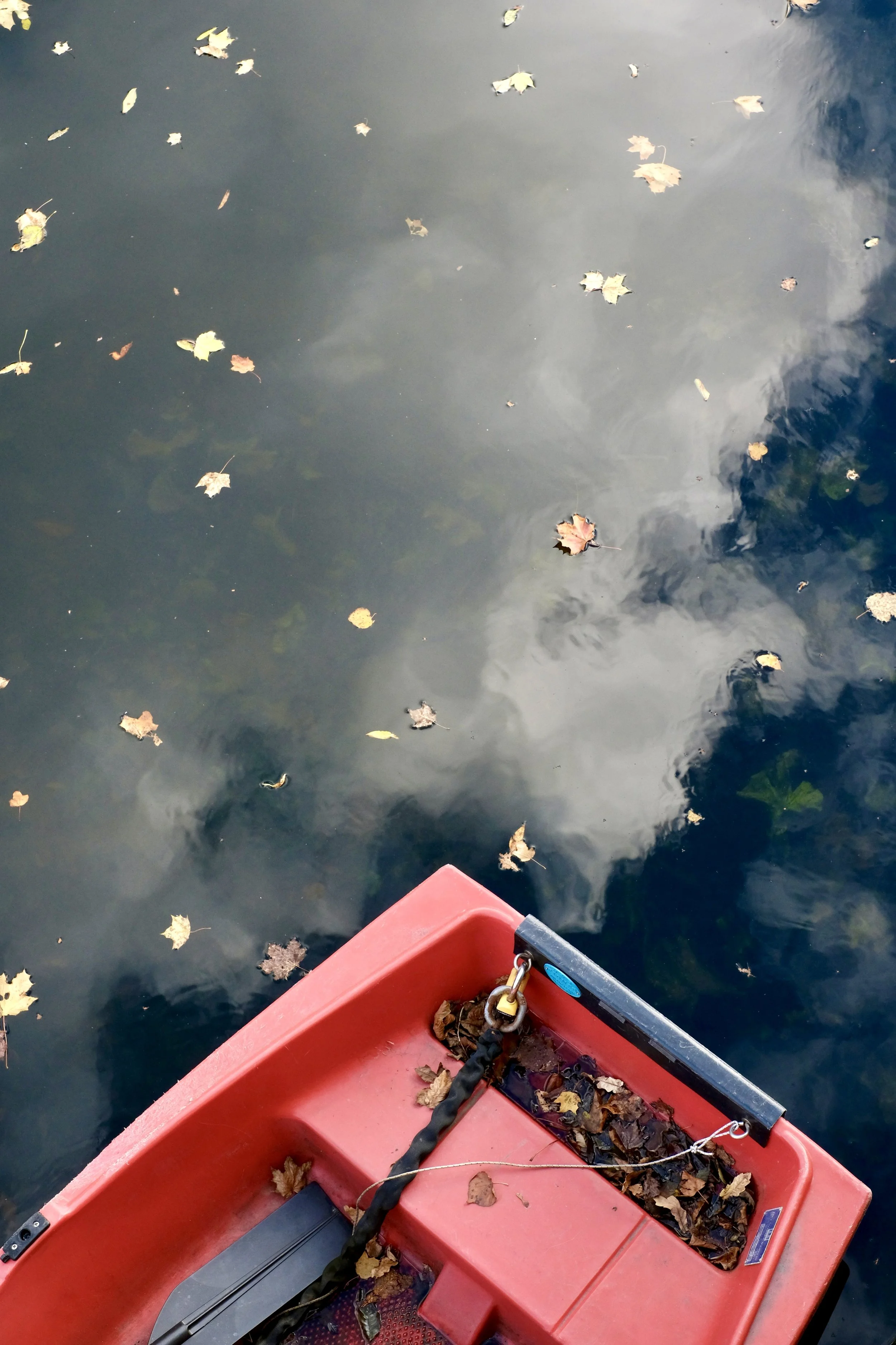 DSCF3757.jpg