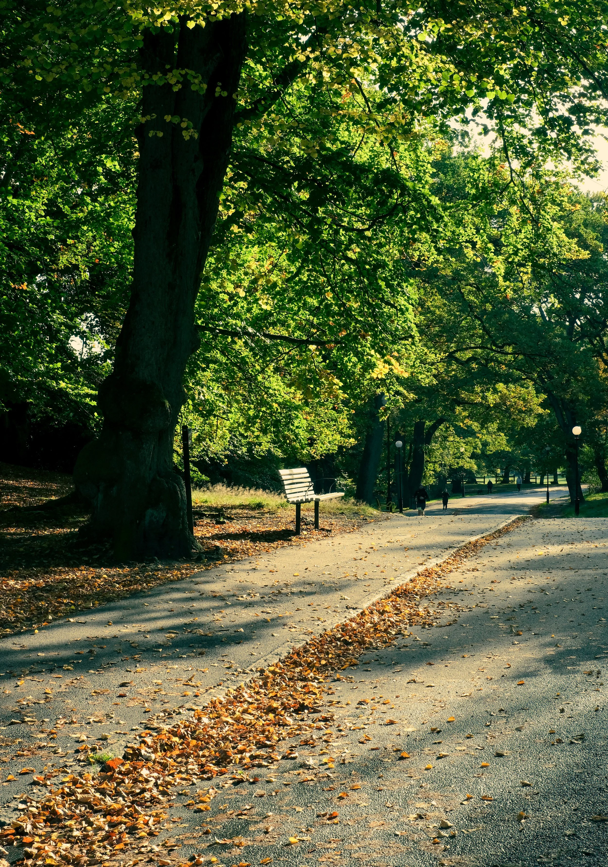 DSCF5570.jpg