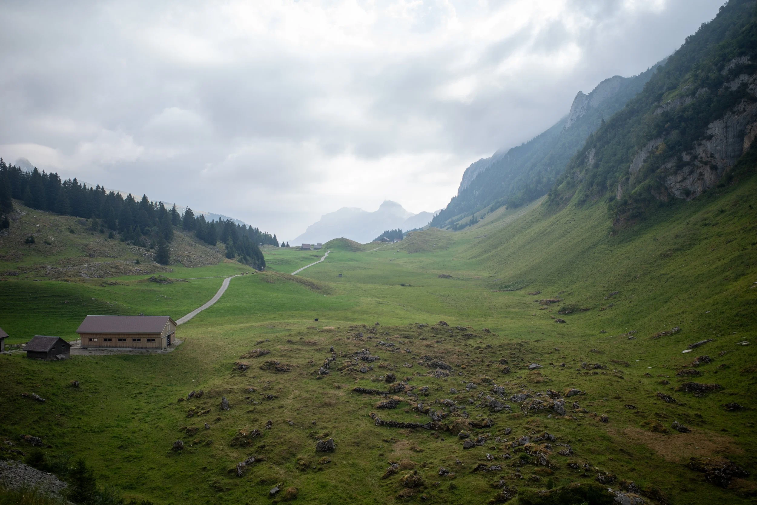R0002300.jpg
