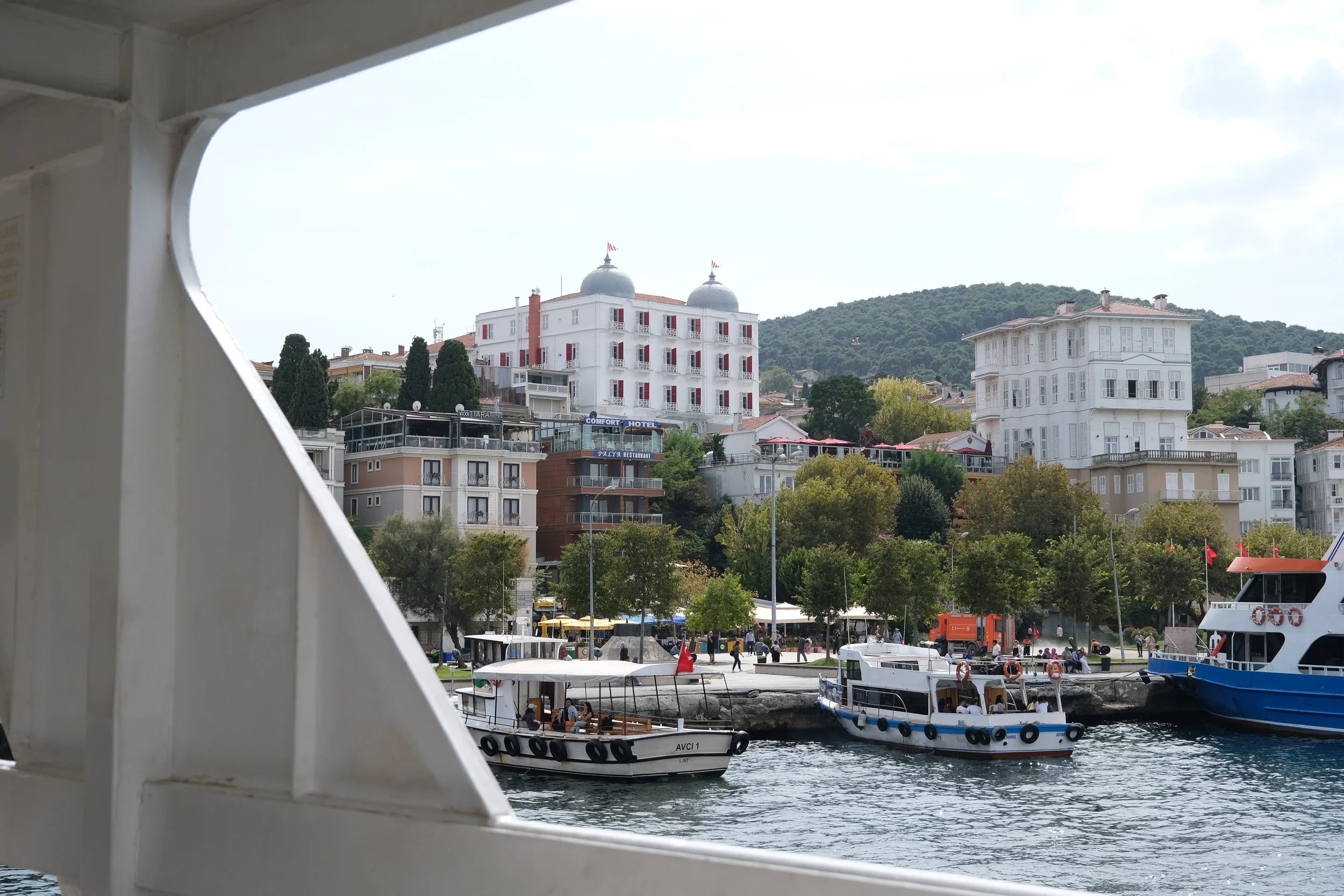 DSCF4913.jpg
